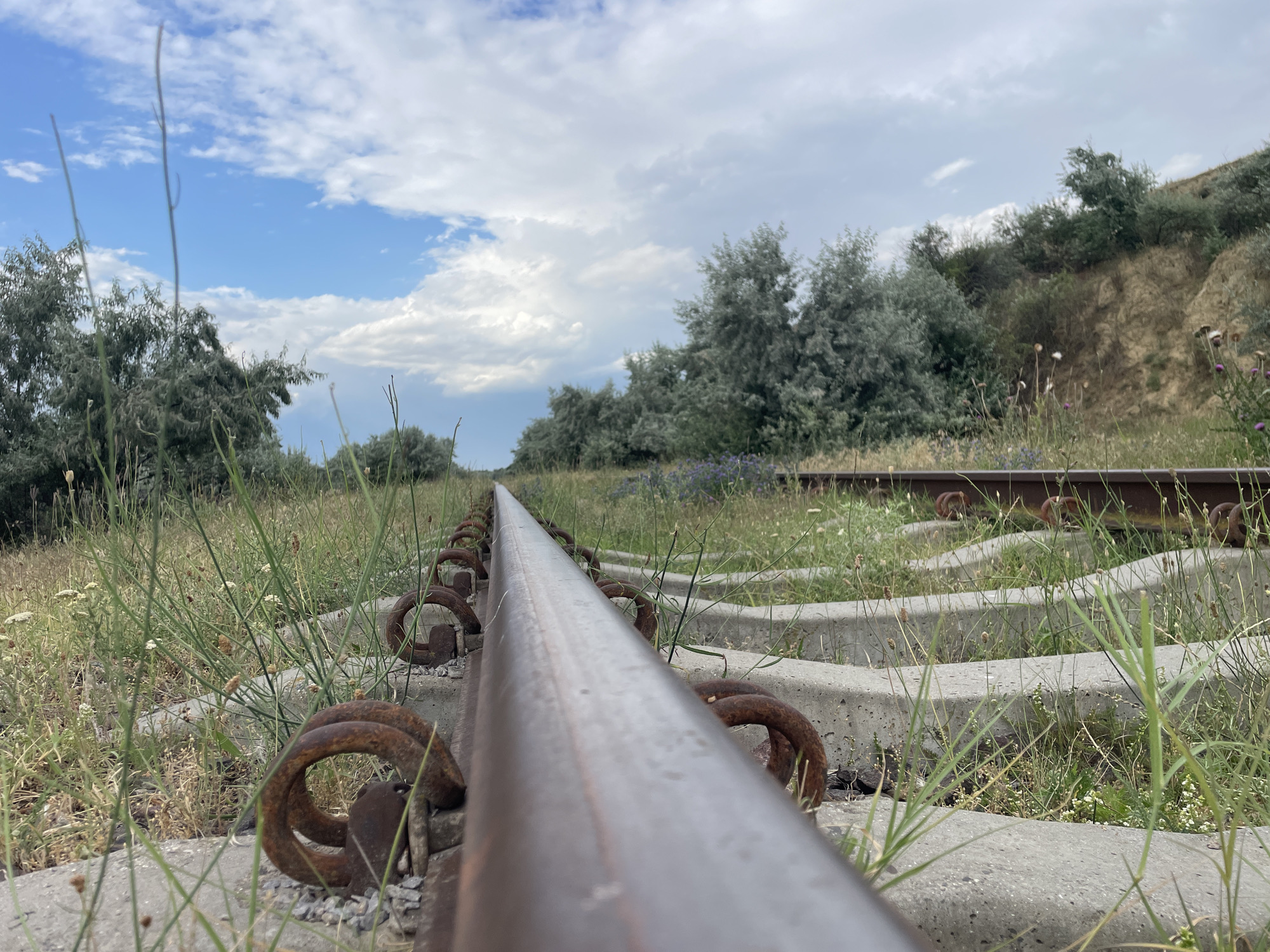 An outdoor, eye-level, wide shot shows a disused railway line vanishing into the distance under a partly cloudy sky. The railway tracks are made of metal and are supported by concrete sleepers, many of which are partially covered by grass and weeds. Rusty, spiral-shaped metal fasteners hold the tracks to the sleepers. The area around the tracks is overgrown with various types of grass and vegetation, including some small wildflowers. In the background, a gentle, grassy slope is covered with trees and shrubs. The scene appears to be in a rural or semi-rural setting, possibly on the outskirts of Manta, Moldova, given the presence of these types of tracks and vegetation. No people are visible in the image.