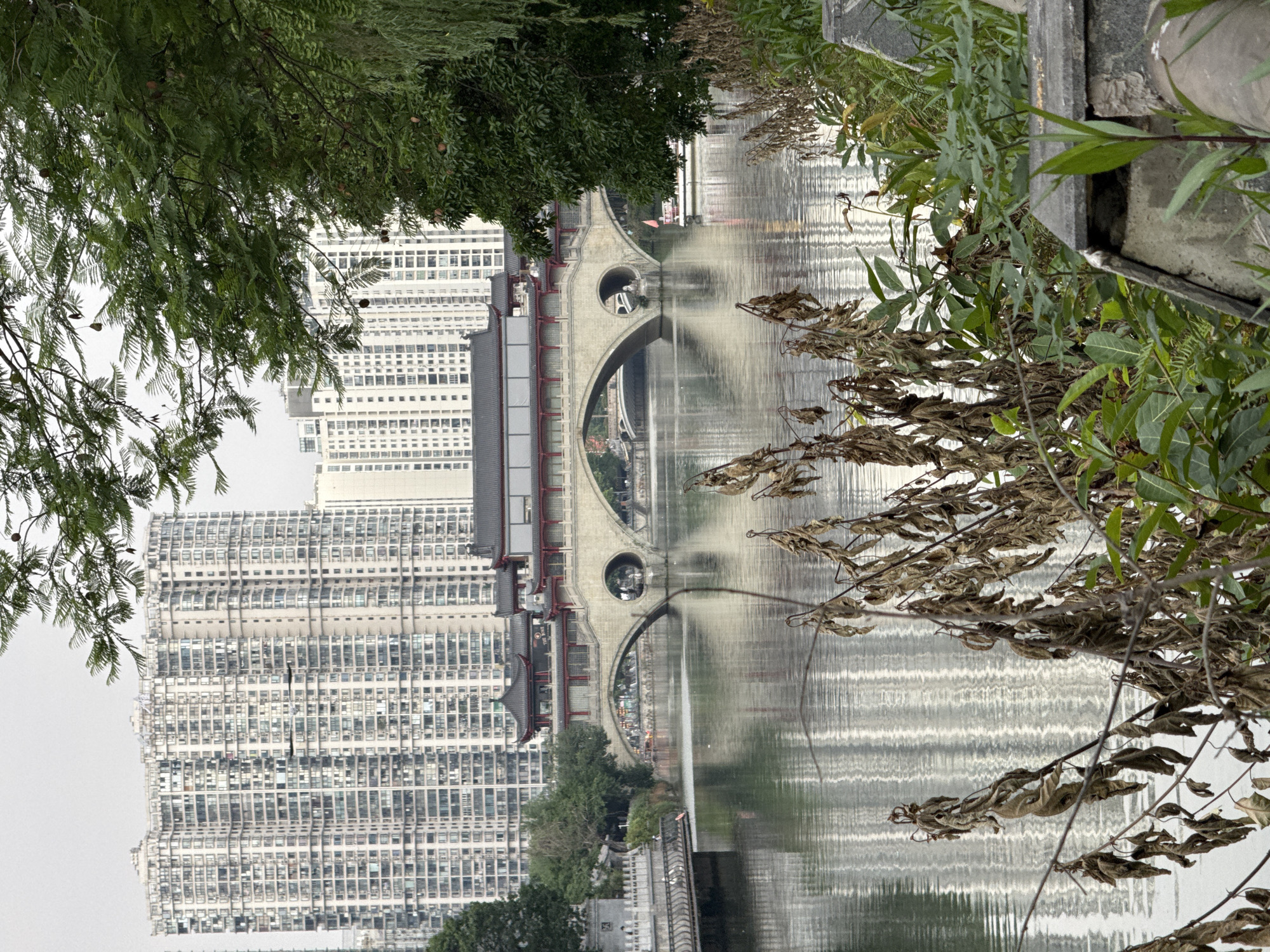 This image depicts a wide shot of a river or canal scene within Jinjiang District, China, characterized by a blend of traditional and modern urban elements under an overcast sky.
In the midground, a prominent multi-arched stone bridge spans the calm, reflective body of water. The bridge features traditional Chinese architecture on its deck, including pavilion-style structures with dark, tiled roofs and red accents. Notably, one arch on the right side of the bridge is circular. To the left of the main bridge, a segment of a stone wall or riverbank structure is visible. A smaller, multi-span bridge is partially visible further in the background, beneath the main bridge.
The background is dominated by a dense cluster of tall, modern high-rise residential buildings, predominantly light in color, with numerous windows arranged in repetitive patterns. These buildings reflect faintly on the water's surface.
In the immediate foreground, a significant portion of the lower frame is occupied by dry, brown, withered foliage on leafless branches, primarily on the left side, partially obscuring the water. To the right, green foliage, including tree branches with small leaves and some brown seed pods, extends into the frame from the top and right, partially obscuring the background buildings. Lower on the right, additional green plants and grey concrete structures are present.
On the water to the right of the bridge, a small, white motorboat with a red flag affixed to its stern is visible. The sky is a uniform, light grey, indicating an overcast condition. No discernible human figures are present in the image.