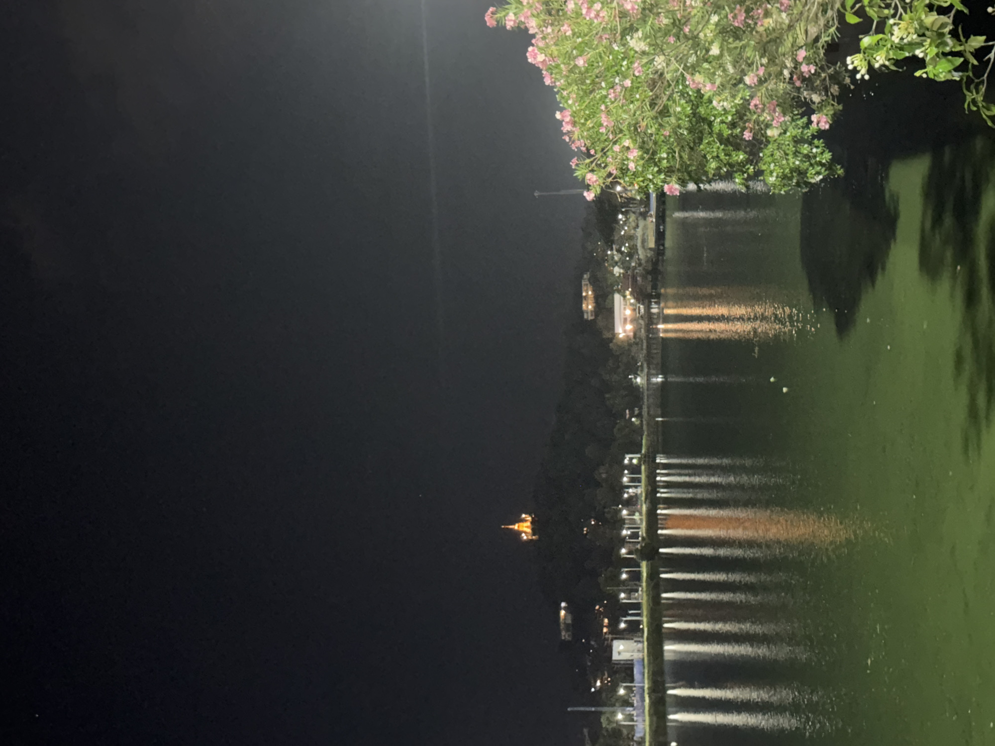 The image shows a nighttime scene of a lake with lights reflecting on its surface. The lake is bordered by a promenade lined with lamps, and beyond that, trees and some buildings are visible. In the distance, a brightly lit pagoda-like structure stands out against the dark sky. A tree with pink flowers is in the foreground, partially obscuring the view of the lake and the lights. The overall mood is serene and peaceful, suggesting a tranquil evening at this location. The time of day is clearly night, indicated by the darkness and artificial lighting. The location cues, such as the pagoda and lush vegetation, align with a tropical setting like Ko Samui, Thailand. No people are visible in the image, and there is no visible text.