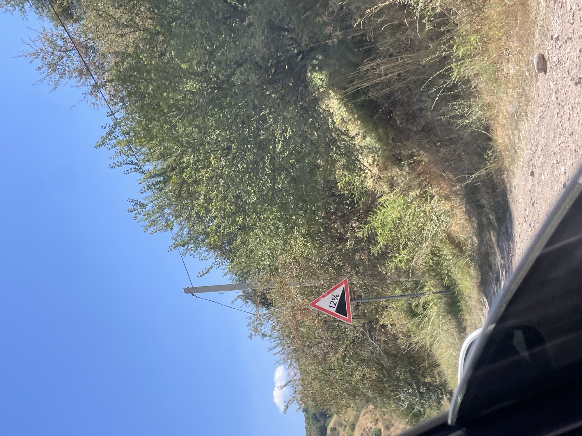 A triangular warning sign with a red border is affixed to a metal pole on the side of a dirt road. The sign depicts a downward-sloping black line with the number "12%" next to it, indicating a steep incline ahead. The road is surrounded by lush green trees and dry, tall grass, under a clear blue sky with a single white cloud. The edge of a vehicle is visible in the foreground, suggesting the image was taken from inside a car. The scene appears to be in a rural or mountainous area, possibly Tukkizkul, Uzbekistan.