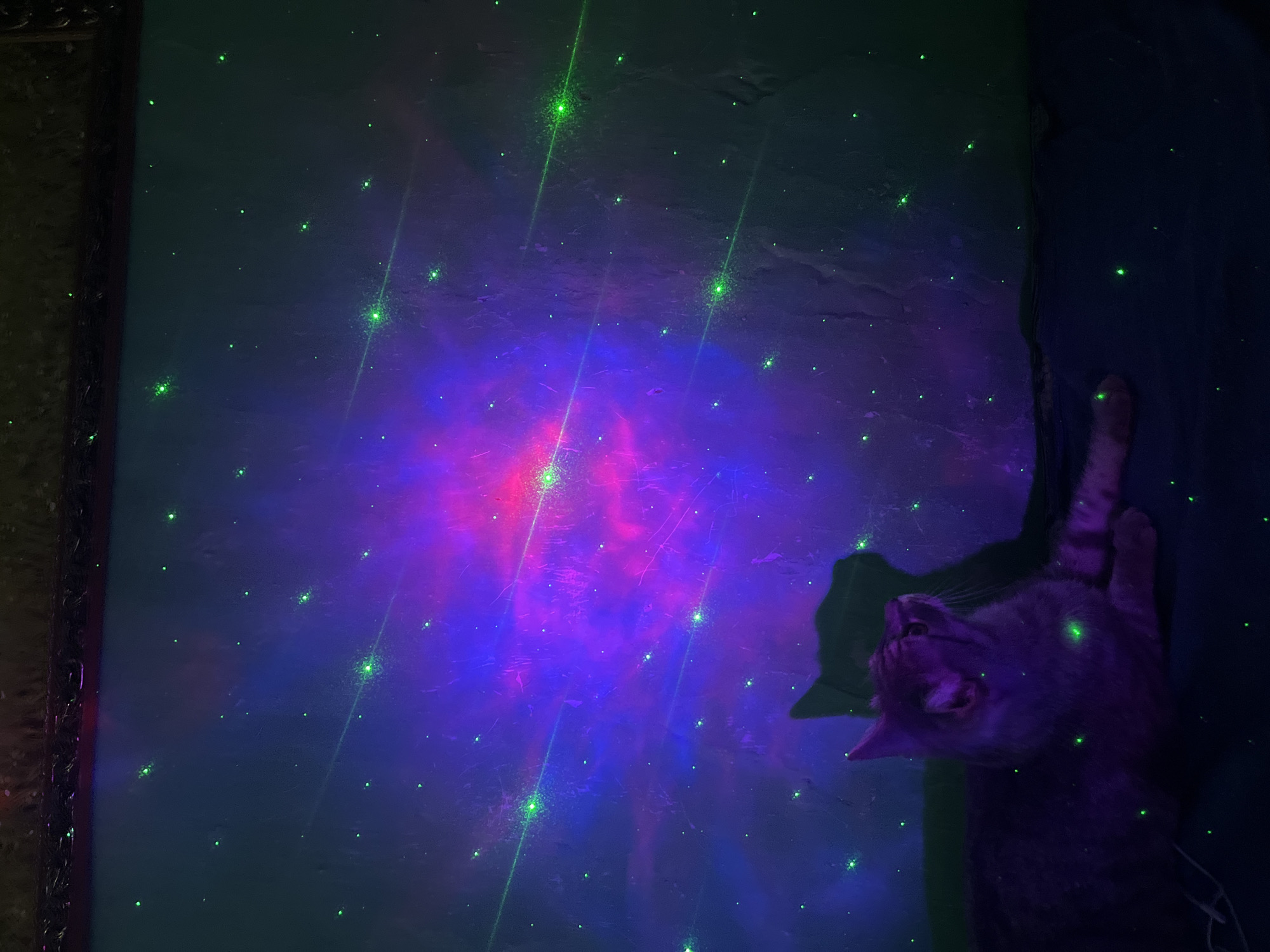 In Nizhny Tagil, Russia, a domestic cat rests on a dark blue surface, illuminated by a galaxy projector casting vibrant purple and pink nebulas and green stars onto a textured wall and the cat itself. The cat, a tabby with striped fur, is positioned on the left side of the frame, looking upwards and to the right. Its silhouette is also visible against the projected wall. The environment appears to be an indoor setting, with a dark frame visible at the top of the image. The lighting creates a mystical and colorful atmosphere.