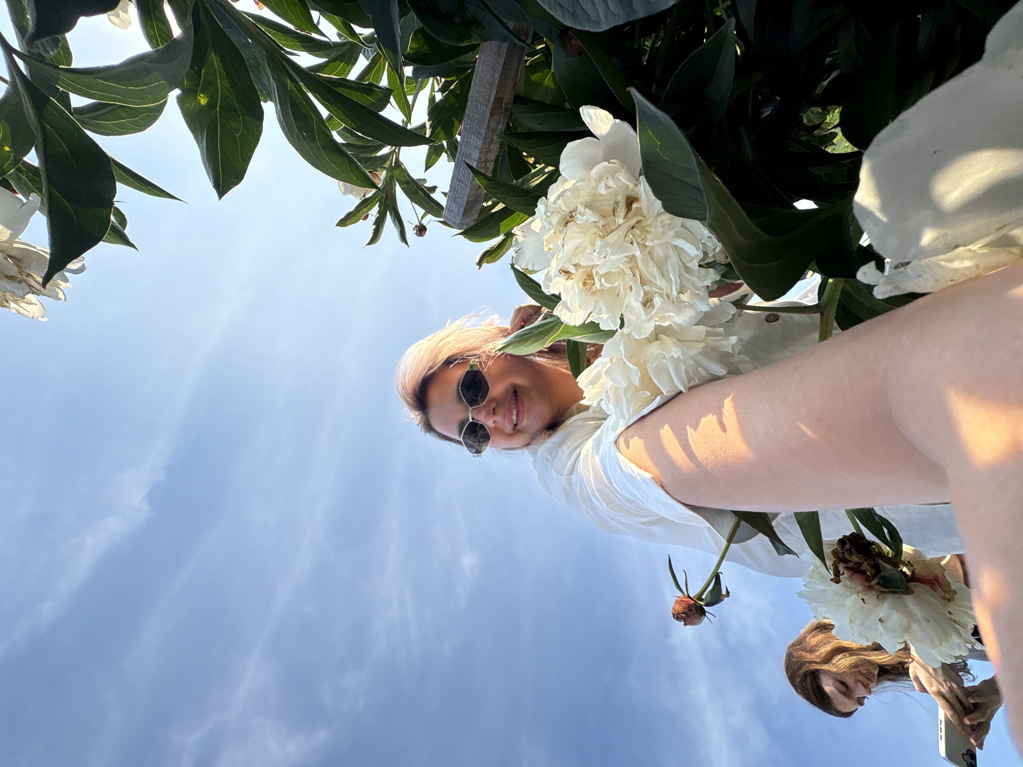An outdoor, low-angle, wide shot captures two females near blooming white peonies under a bright, partially clouded sky. The person in the foreground, on the right, is a woman with light-colored hair and sunglasses, wearing a white shirt. She is smiling, and her right arm is extended towards the camera, holding a bouquet of peonies. To her left and slightly behind, another woman with long brown hair is visible, looking down at a white tablet device held in her hands. She is wearing a dark top. The peonies are large and white, with some petals appearing wilted. Green leaves and stems of the peony plants are prominent. A wooden stake is visible behind the woman in the foreground. The sky is a clear blue with some wispy white clouds. The location is identified as Razdolnoye, Russia.