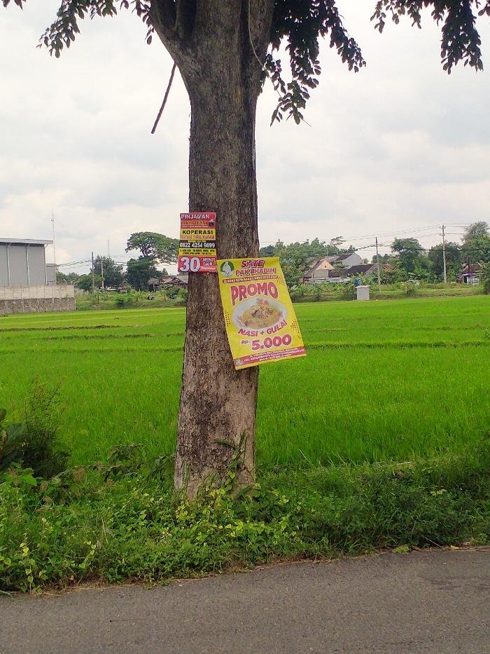 This outdoor shot captures a thick tree trunk in the foreground, serving as a makeshift billboard for two promotional posters. The tree stands at the edge of a paved road or path, with green grass and foliage covering its base.
Beyond the tree, vibrant green rice paddies stretch across the mid-ground, indicating a rural or semi-rural setting. In the distant background, under an overcast sky, are scattered buildings, utility poles, and more trees, suggesting a village or small town. The lighting is soft and diffused, typical of a cloudy day.
Two signs are attached to the tree trunk:
1. **Top poster (red and yellow):** Advertises "PINJAMAN DANA TUNAI" (Cash Loan) from a "KOPERASI" (Cooperative), accepting "JAMINAN BPKB" (vehicle ownership document as collateral). It provides a contact number (0822 4254 9899) and promises "30 MENIT CAIR" (30 minutes disbursement).
2. **Bottom poster (yellow):** Promotes "SATE PAK DHABINI" (Pak Dhabini Satay) with a "PROMO." It features an image of a dish and explicitly states "NASI + GULAI" (Rice + Gulai) for "RP. 5.000" (Indonesian Rupiah 5,000). Smaller, less legible text at the bottom likely includes an address or further details, possibly mentioning "Setiap hari buka" (open every day).
No people are visible in the tranquil scene, which highlights the juxtaposition of commercial advertisements against a natural, agricultural backdrop in Kecamatan Kebakkramat, Indonesia.