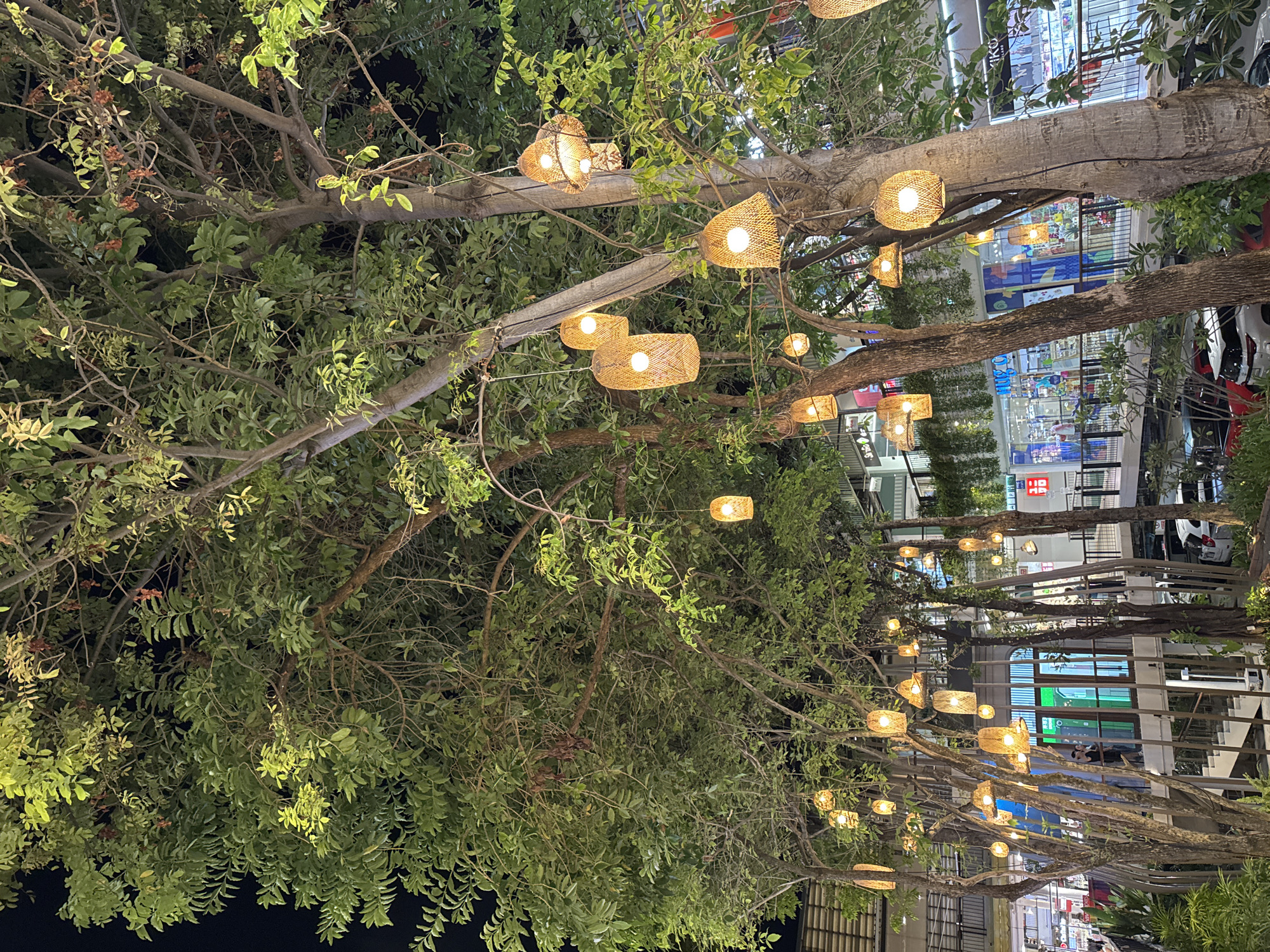 Captured in Baan Chaweng, Thailand, the image showcases a night scene beneath a canopy of trees. The trees are laden with green foliage and adorned with numerous warm-toned, woven basket-like lanterns, suspended at varying heights. The lanterns illuminate the space with a soft, ambient glow. In the background, there's a view of urban elements: shops and buildings, with glimpses of parked cars. The buildings exhibit modern architecture and a variety of storefronts. The overall atmosphere is one of a relaxed, outdoor setting with the blend of nature and urban landscape.
