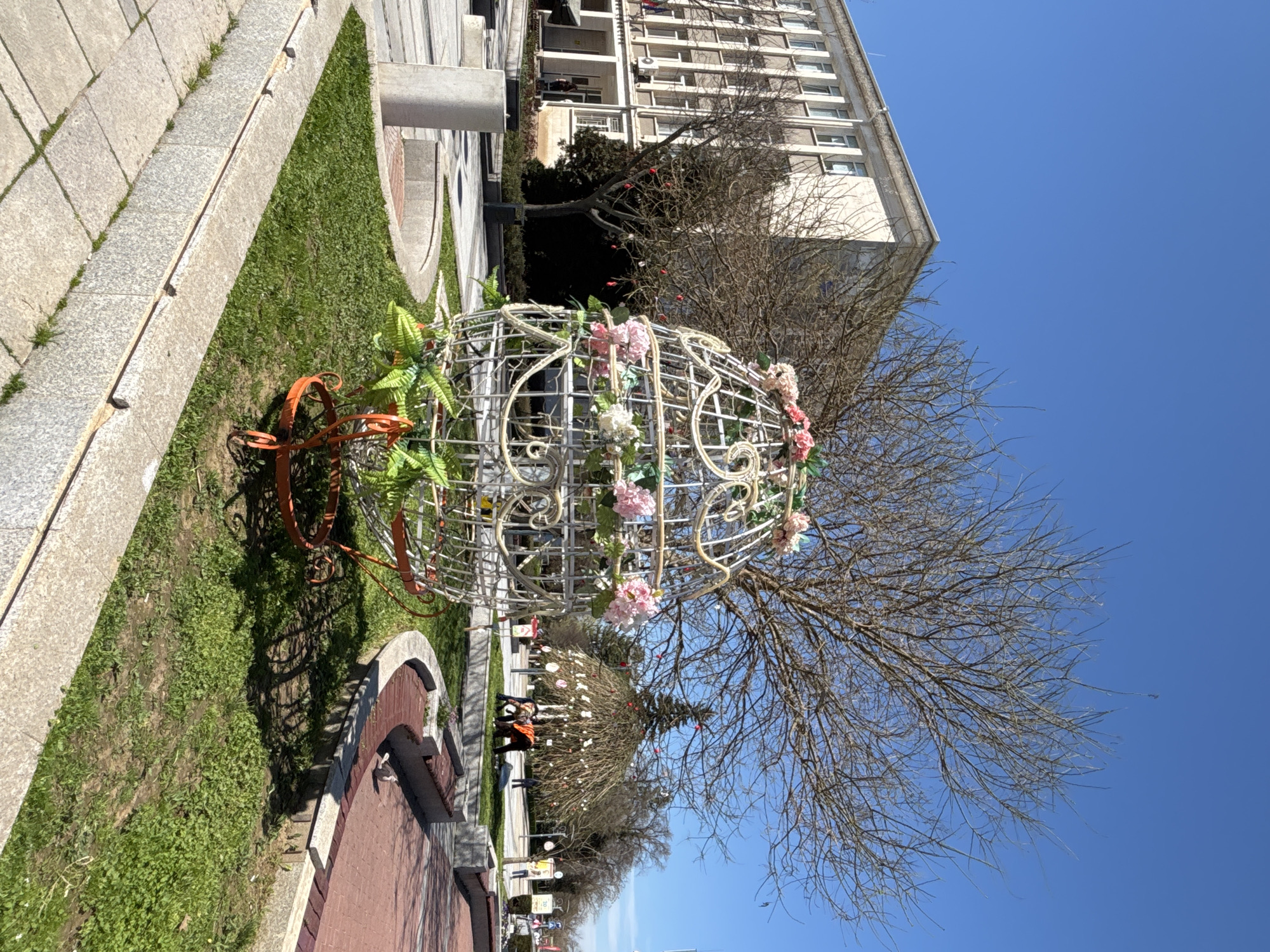 A low-angle, full outdoor shot shows a wire-frame orb decorated with pink and white flowers, resting on a lawn next to a walkway in Silistra, Bulgaria. The orb sits within a curved orange stand on the grass. The lawn is bordered by a raised walkway of large grey pavers, behind which stands a multi-story apartment building with white balconies. A tall, leafless tree branches out behind the orb, its bare limbs contrasting with the clear blue sky above. The walkway has an ornate brick and concrete seating area in the foreground. Other decorated orbs can be seen further down the street.