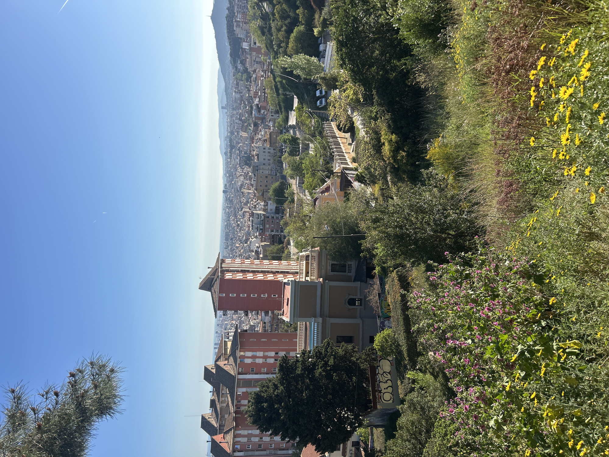 The image shows a cityscape of Barcelona, Spain, taken from a high vantage point. The view encompasses a sprawling urban landscape with buildings of varying heights and architectural styles. In the foreground, there are trees and flowering plants, adding a touch of nature to the scene. A distinctive set of stairs winds its way down the slope. The sky is clear blue, with a slight haze obscuring the distant mountains. Montjuïc mountain is visible in the background, characterized by a prominent telecommunications tower situated at its peak. Several multi-story apartment buildings with distinctive red and beige exteriors are visible closer to the viewer, with a mural of graffiti on a retaining wall.