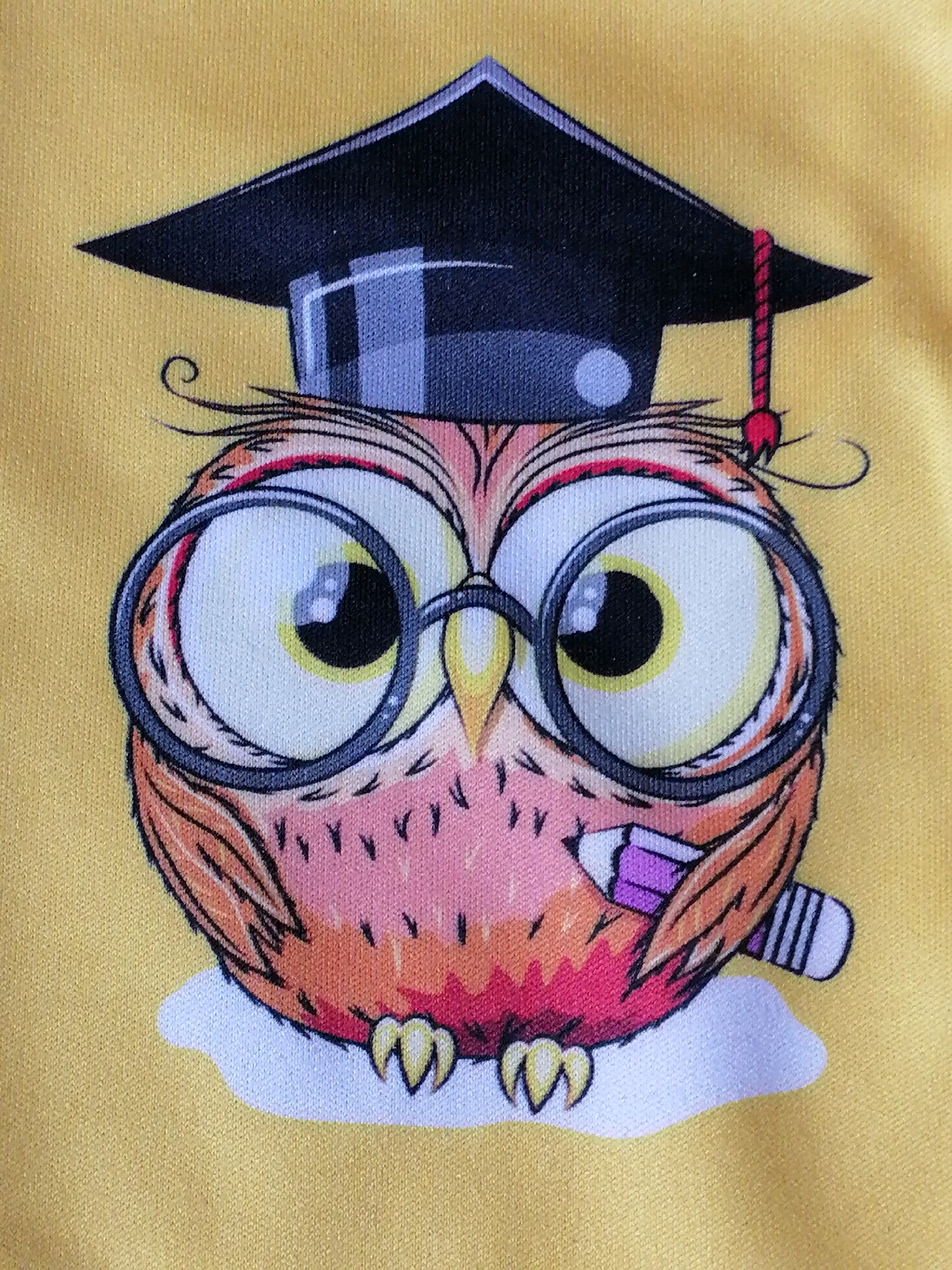 The image is a close-up of a cartoon owl wearing a graduation cap and glasses, with a pencil in its beak, printed on a yellow fabric. The owl is depicted with large, expressive eyes, feathery details, and is outlined in black. It is resting on a white cloud-like shape. The fabric has a textured appearance, suggesting it could be part of a piece of clothing or a textile item. The image does not contain any information about its location in the city of Kaliningrad, Russia.