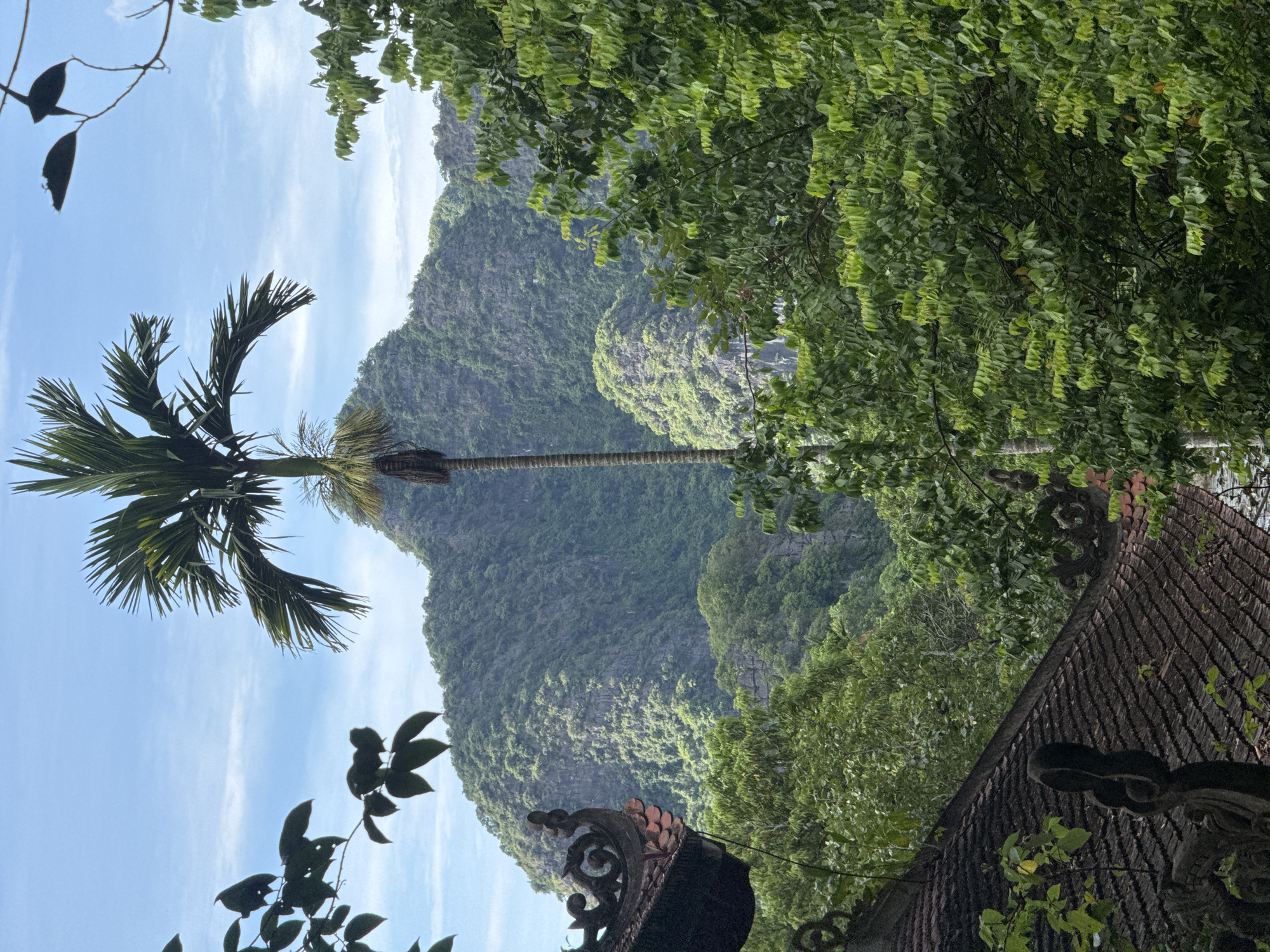 The image depicts a scenic view of karst mountains in Nam Hoa Lư Ward, Vietnam, framed by lush greenery and architectural elements. In the foreground, a portion of a traditional Vietnamese tiled roof with ornate carvings is visible, suggesting the presence of a temple or historical building. A tall, slender palm tree stands prominently in the midground, its fronds reaching towards a bright blue sky dotted with wispy clouds. The background is dominated by the majestic, tree-covered karst mountains, characterized by their steep slopes and textured rock formations. Dense foliage and trees fill the space between the foreground and the mountains, creating a layered effect and emphasizing the natural beauty of the landscape. The overall impression is one of serene natural grandeur, enhanced by the cultural context suggested by the architecture. There are no people or animals visible in the image.