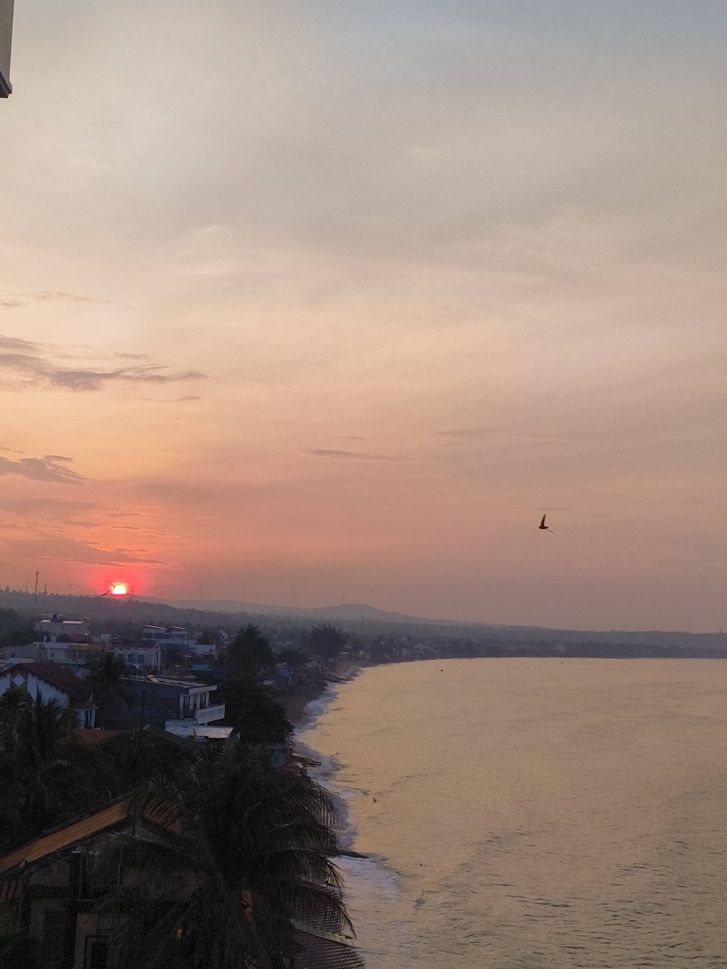 The image depicts a coastal scene at sunrise in Phu Thuy Ward, Vietnam. The sun, a bright red orb, is setting near the horizon, casting a warm orange glow across the sky. Wispy clouds are scattered across the upper portion of the frame, transitioning from a pale blue at the top to a soft pink and orange near the horizon. A single bird is captured in flight in the middle right of the sky.
Below the sky, a coastline stretches out, lined with buildings that appear to be houses or small establishments. Palm trees are visible in the foreground, partially obscuring some of the structures. The ocean is a calm expanse of golden water, with gentle waves lapping at the sandy shore. The shoreline is dotted with small whitecaps from the breaking waves. In the distance, hills rise up, fading into a hazy silhouette against the sunrise. Several wind turbines are visible on the distant hills. The scene is peaceful and serene, characteristic of a coastal sunrise.