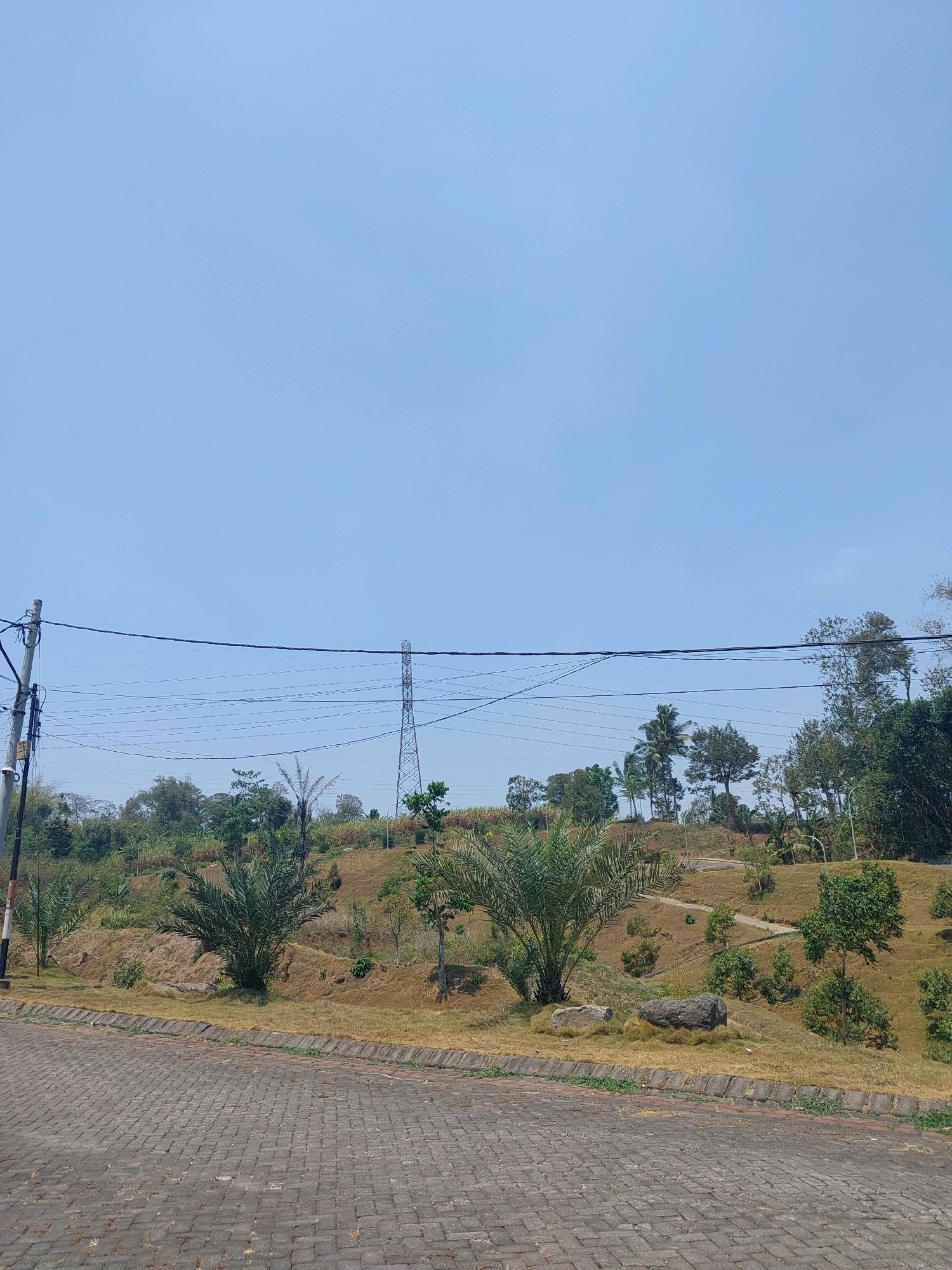 The image shows a wide, paved cobblestone road in the foreground, curving to the left. The road is bordered by a strip of dry grass and a concrete curb. Beyond the road, a gently sloping, dry, grassy hillside rises, dotted with various trees and shrubs. A tall, metal electricity pylon is visible in the mid-ground, with numerous power lines stretching across the frame, supported by poles on the left. The sky is clear and pale blue. The scene appears to be an outdoor public space, possibly a park or recreational area, with a dry climate indicated by the parched grass. No people are present in the image. The overall impression is one of an arid, hilly landscape with infrastructure.