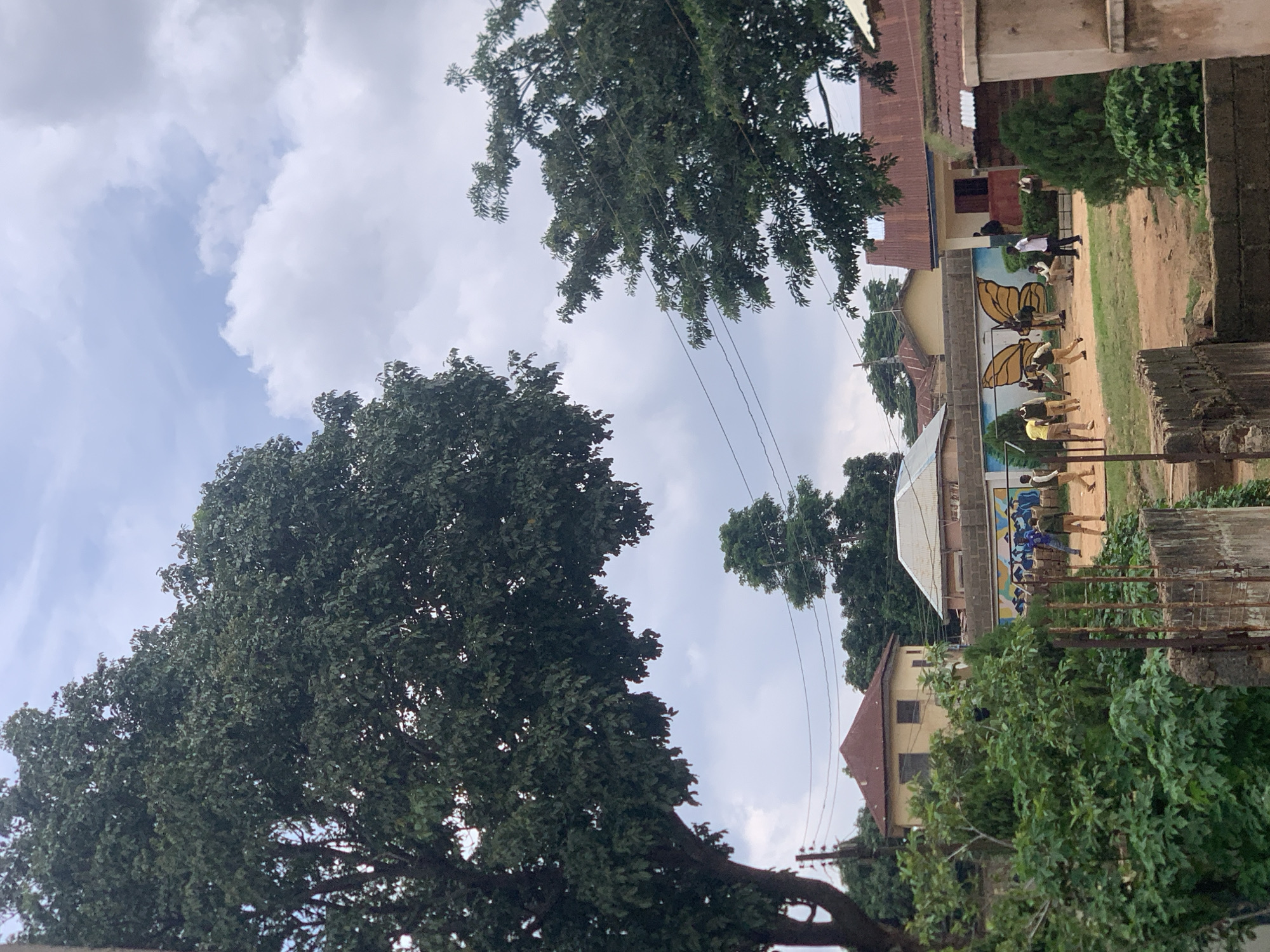 In Jos, Nigeria, a group of young people, likely students, are engaged in an outdoor activity within a school or community compound. Some are in uniforms, appearing to be wearing khaki shorts and shirts, while others are in casual attire, including a person in a white shirt and another in a yellow shirt. They are gathered on a dusty ground, with a mural of a large yellow butterfly with black markings painted on a wall as a backdrop. Behind the students, several buildings with red and gray roofs are visible. Lush green trees, including a large one dominating the left side of the frame, and dense bushes surround the area, with power lines running overhead. The sky is partly cloudy, with a mix of white clouds and blue sky. The scene depicts a lively moment in what appears to be a schoolyard in Jos.