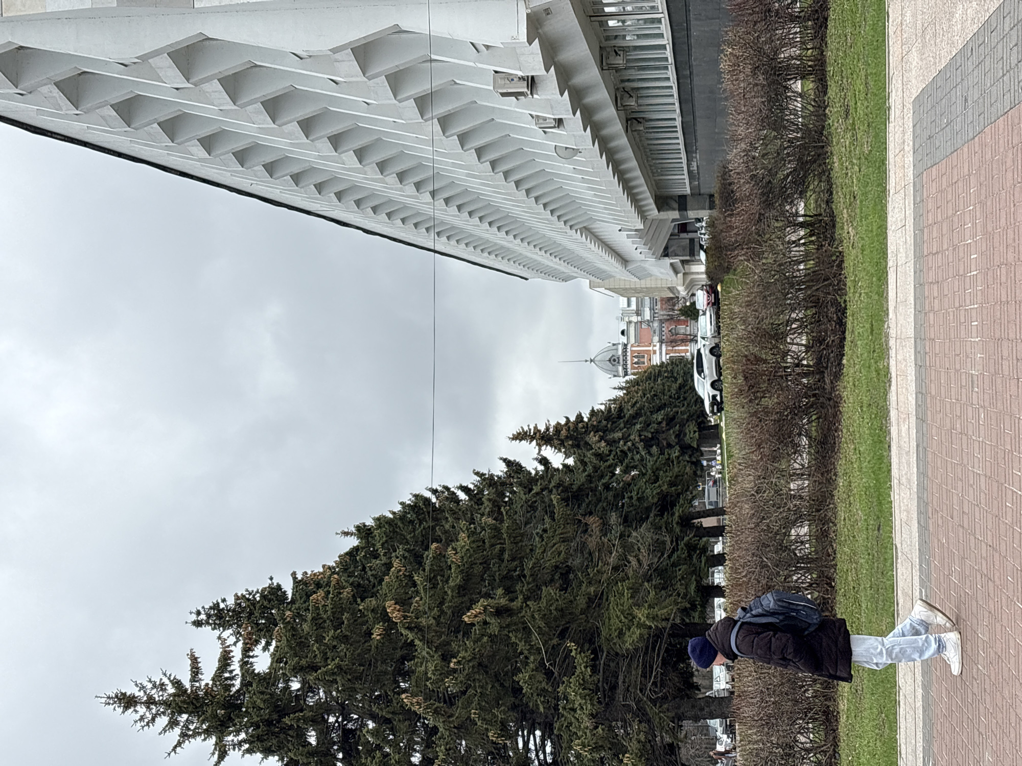 This image, taken in Ulyanovsk, Russia, captures an urban street scene on an overcast day. In the foreground, a person is seen from behind, walking or standing on a paved sidewalk. They are wearing a dark jacket, light blue jeans, white sneakers, and a dark blue beanie, carrying a blue backpack. The sidewalk consists of light grey rectangular slabs alongside a section with a reddish-brown brick-like pattern.
Adjacent to the sidewalk, a strip of green grass gives way to a hedge of dark, bare bushes. To the left, a large, dense evergreen tree, possibly a spruce or fir, dominates the midground, its branches filled with visible cones and reaching towards the grey, cloudy sky.
In the background, behind the bushes and the large tree, several white cars are parked along a street. Above these, a prominent modern building with a striking white facade featuring a repeating geometric, wave-like pattern extends horizontally across the upper left of the frame. Further in the distance, partially obscured by the trees and the modern building, an older, classical-style building with a distinctive domed roof and a slender spire can be seen. The sky is uniformly grey, indicating a heavily overcast day. No visible text is discernible in the image.