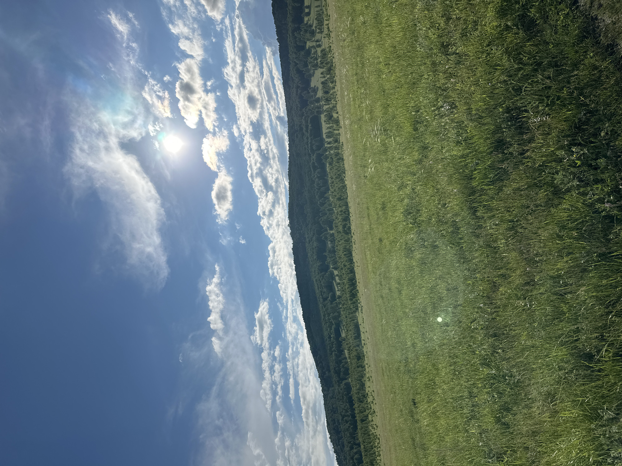 A bright, sunny day with a vast expanse of blue sky dotted with wispy white clouds is captured in this image. The sun, partially obscured by clouds, casts a brilliant glow with visible lens flare. Below, a rolling green hillside dominates the landscape, covered in lush grass and a dense forest of trees. The terrain is uneven, with a gentle slope leading up to the tree line. The overall impression is one of natural beauty and tranquility.