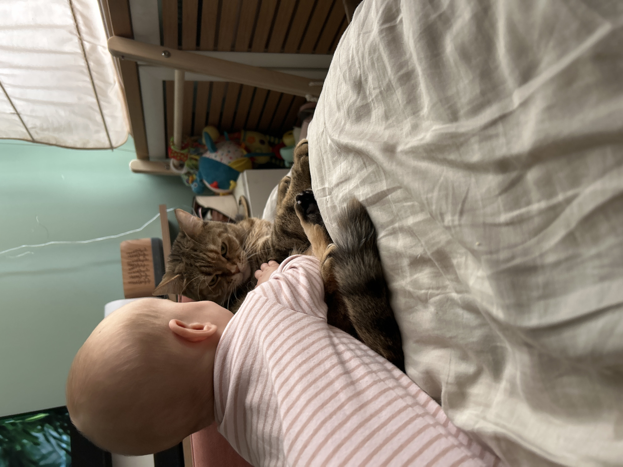 A tabby cat lies next to a baby wearing a striped pink and white shirt. The baby's head is near the cat's face. The cat's paws are near the baby's torso. The background includes a white sheet, toys on a shelf, and a green wall. The location is undeterminable.