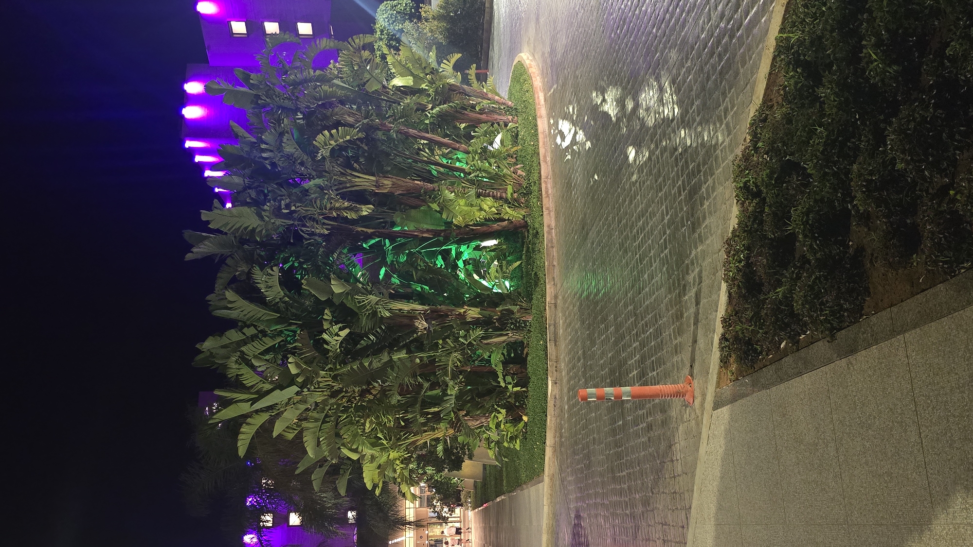 An outdoor, nighttime scene depicts a paved entranceway with a circular island of lush, tropical foliage. The foliage, illuminated by green lights from within the island, is surrounded by a raised curb and a short, green manicured lawn. The paved area is wet, reflecting the ambient lights. An orange traffic cone stands on the pavement near the edge of a gray concrete sidewalk. In the background, a modern building with windows is visible, lit by purple lights from above. The building appears to be multi-storied. A few people are walking on the sidewalk in the distance, near the entrance of the building. The sky is dark and clear.