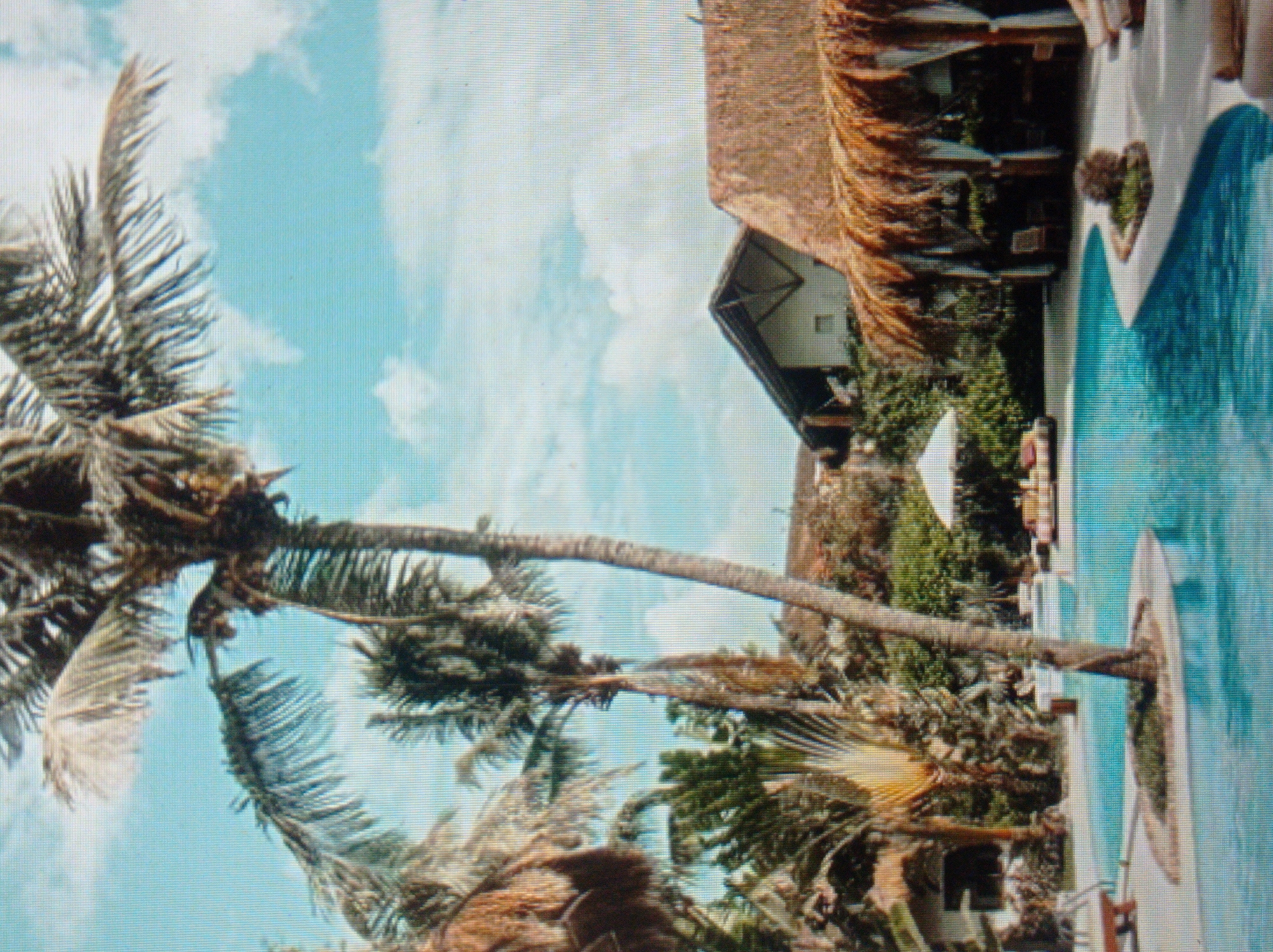 The image depicts a tropical resort scene with a swimming pool in the foreground. Tall palm trees are scattered throughout the property, casting shadows on the turquoise water. In the background, there are thatched-roof structures, possibly cabanas or bungalows, offering shade and relaxation areas. Several lounge chairs are visible around the pool, suggesting a place for leisure and vacation. The sky is bright blue with a few scattered clouds, indicating a clear day. There are no people visible in the image. The scene is set in a lush, green environment, characteristic of a tropical or subtropical climate. The resort appears to be well-maintained and designed for comfort and enjoyment. There is no information within the image to suggest the location is in Mukachevo, Ukraine, as this city is not known for its tropical climate or resorts of this nature.