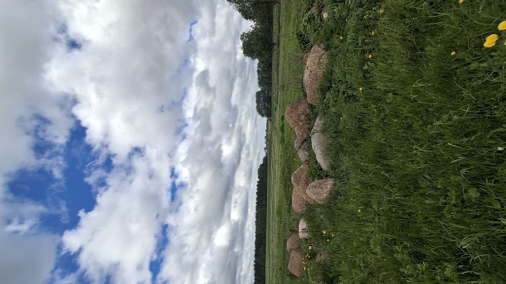 The image depicts a landscape in Muta-Kiulya, Russia. A row of roughly spherical stones divides a green field from a sky filled with cumulus clouds and patches of blue. The field contains grass and scattered yellow wildflowers. In the distance, a dark green line of trees is visible. No people or animals are present.