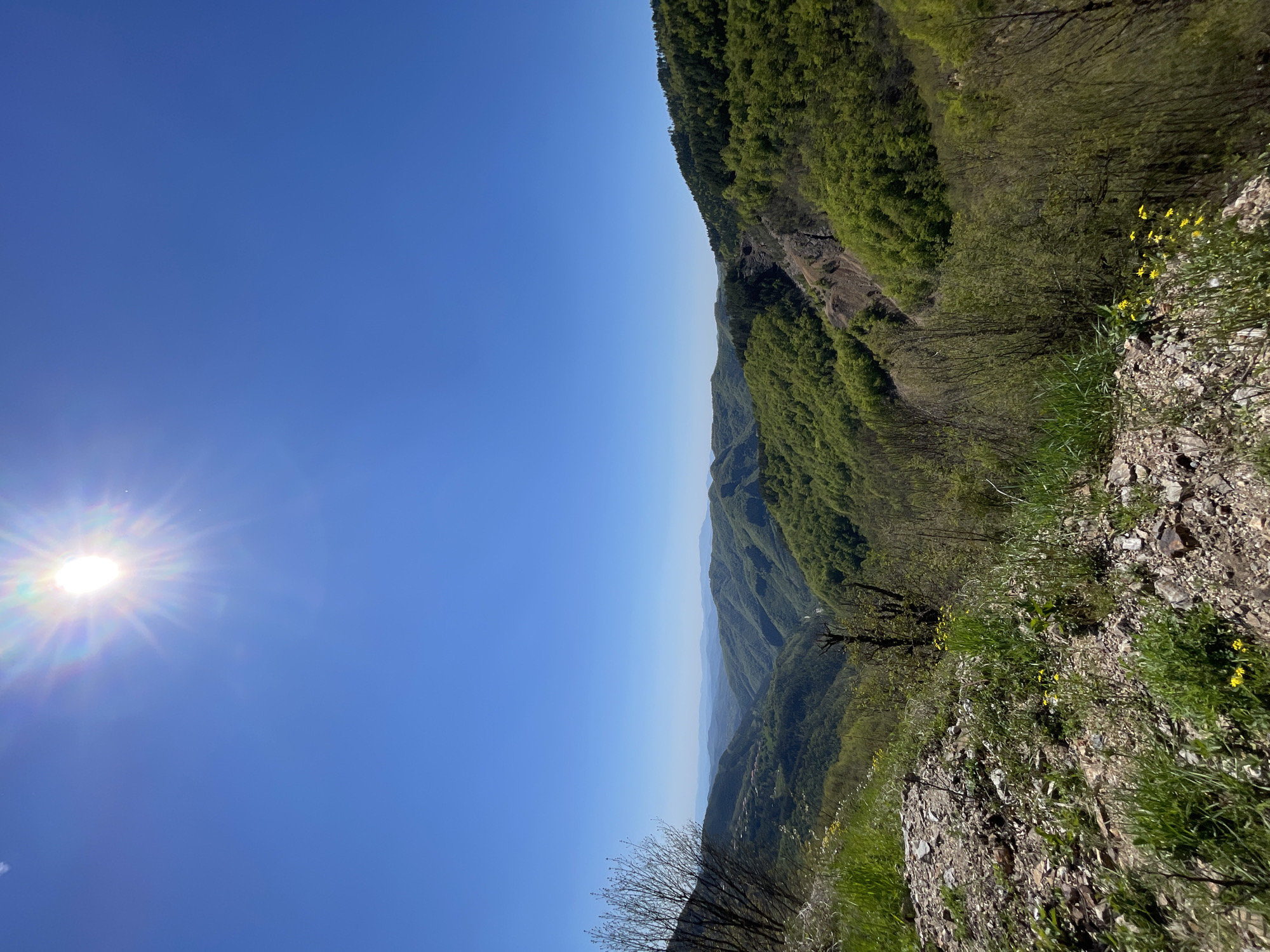 The image depicts a mountainside view on a sunny day in Pechinska, Bulgaria. The sky is a clear, vibrant blue with the sun visible in the upper left corner. The mountain is covered in lush green vegetation and trees. The foreground shows rocky terrain with patches of grass and small yellow flowers. The land slopes downward into a valley filled with more mountains and trees.