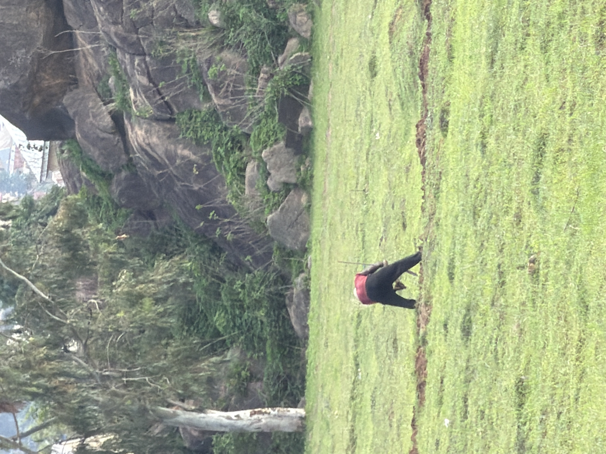 An individual is depicted from behind, wearing a red shirt and black pants, engaged in digging in a grassy field. The individual appears to be using a tool, possibly a shovel, to work the soil. The surrounding environment consists of a large expanse of green grass with scattered patches of disturbed earth. In the background, there is a rocky hillside covered with dense green foliage and trees. The terrain suggests a natural, somewhat rugged landscape. The overall scene appears to be outdoors, in a rural or semi-rural setting, possibly on the outskirts of a settlement, consistent with the Gura Top area in Nigeria, which is known for its hilly terrain and vegetation.