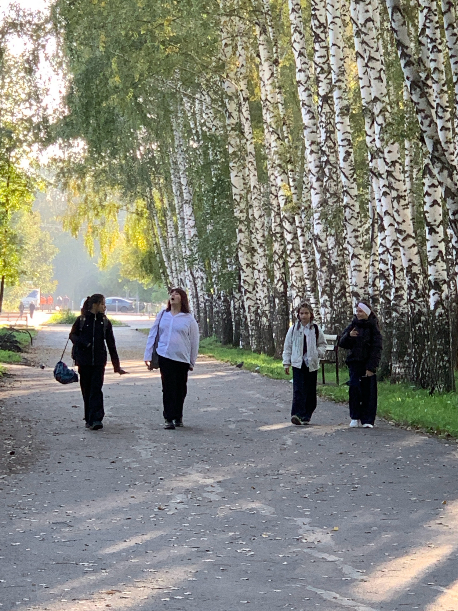 The image depicts a group of four individuals, appearing to be young women, walking along a paved path lined with birch trees. The setting suggests a park or a tree-lined avenue in Prokopyevsk, Russia, given the context. The path is dry and appears to be made of asphalt. Sunlight filters through the leaves of the trees, creating dappled patterns on the ground.
On the left side of the path, a person in a black jacket and dark pants walks away from the camera, carrying a dark bag over their shoulder. To their right, a person in a white top and dark pants is walking, looking upwards with their mouth open. Further down the path, two more individuals are walking towards the camera. The person on the left is wearing a light-colored jacket and dark pants. The person on the right is wearing a dark jacket and dark pants, with a white headband or hat.
In the background, there are more trees, some with visible birch bark, and a hint of vehicles and other people in the distance, suggesting an urban or semi-urban park environment. The overall atmosphere is serene and suggests a casual outing.