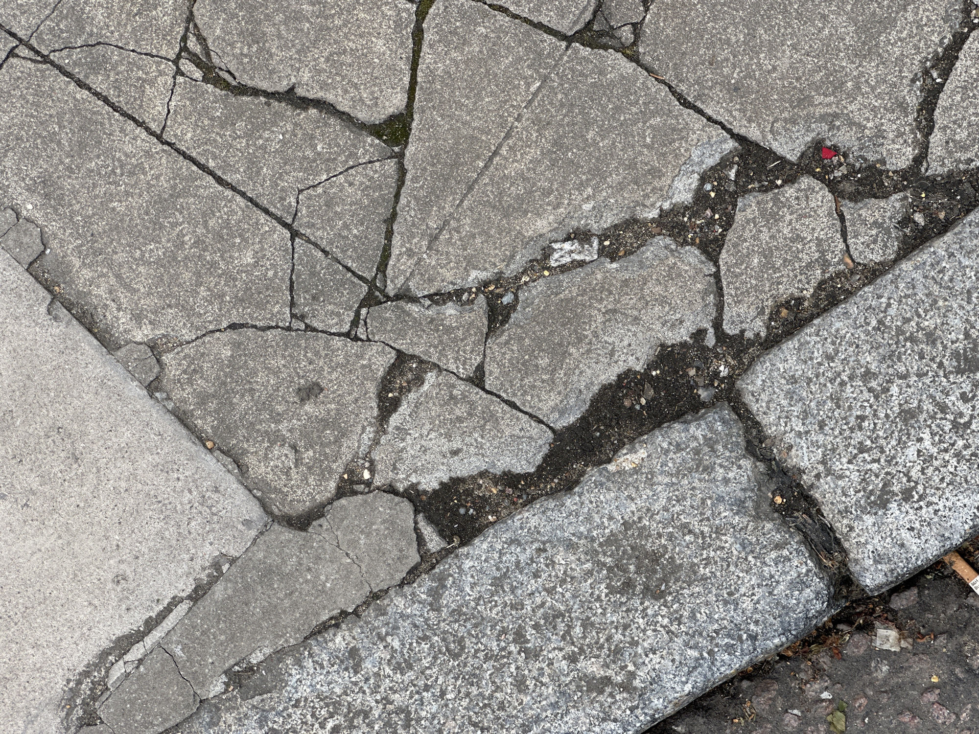 The image shows a section of broken concrete paving stones. Cracks run throughout the paving, some filled with dirt and small debris. A portion of a curb or edge restraint is visible in the lower right, made of a different type of stone.
There is no indication of the location being London, UK. There are no people or discernible actions in the image.