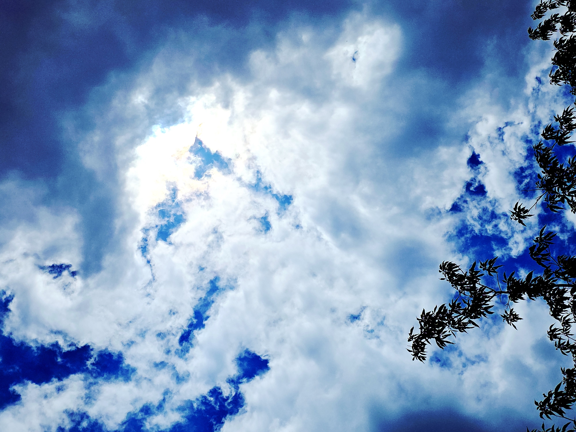 The image shows a daytime sky filled with a mix of white and dark blue clouds. Bright sunlight shines through a gap in the clouds at the center-left. The silhouette of tree branches with leaves is visible in the lower right corner of the image. Location: Unknown, Unknown.