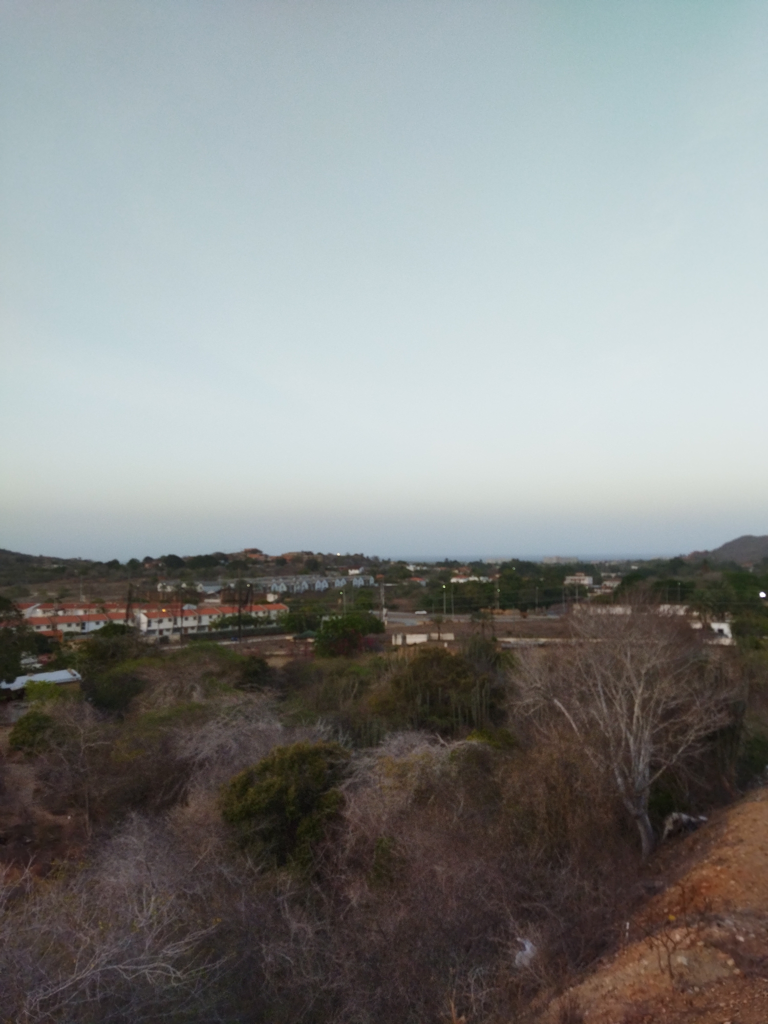 The image depicts a landscape view in Los Cerritos, Venezuela. The foreground features dense, dry vegetation with brown and gray tones, including shrubs and a prominent leafless tree on the right. A dirt slope is visible on the lower right corner. In the midground, there are houses and buildings with orange roofs and some scattered trees and street lights. The background consists of a light gray sky, suggesting dusk or dawn. The overall impression is of a semi-arid environment with sparse development.