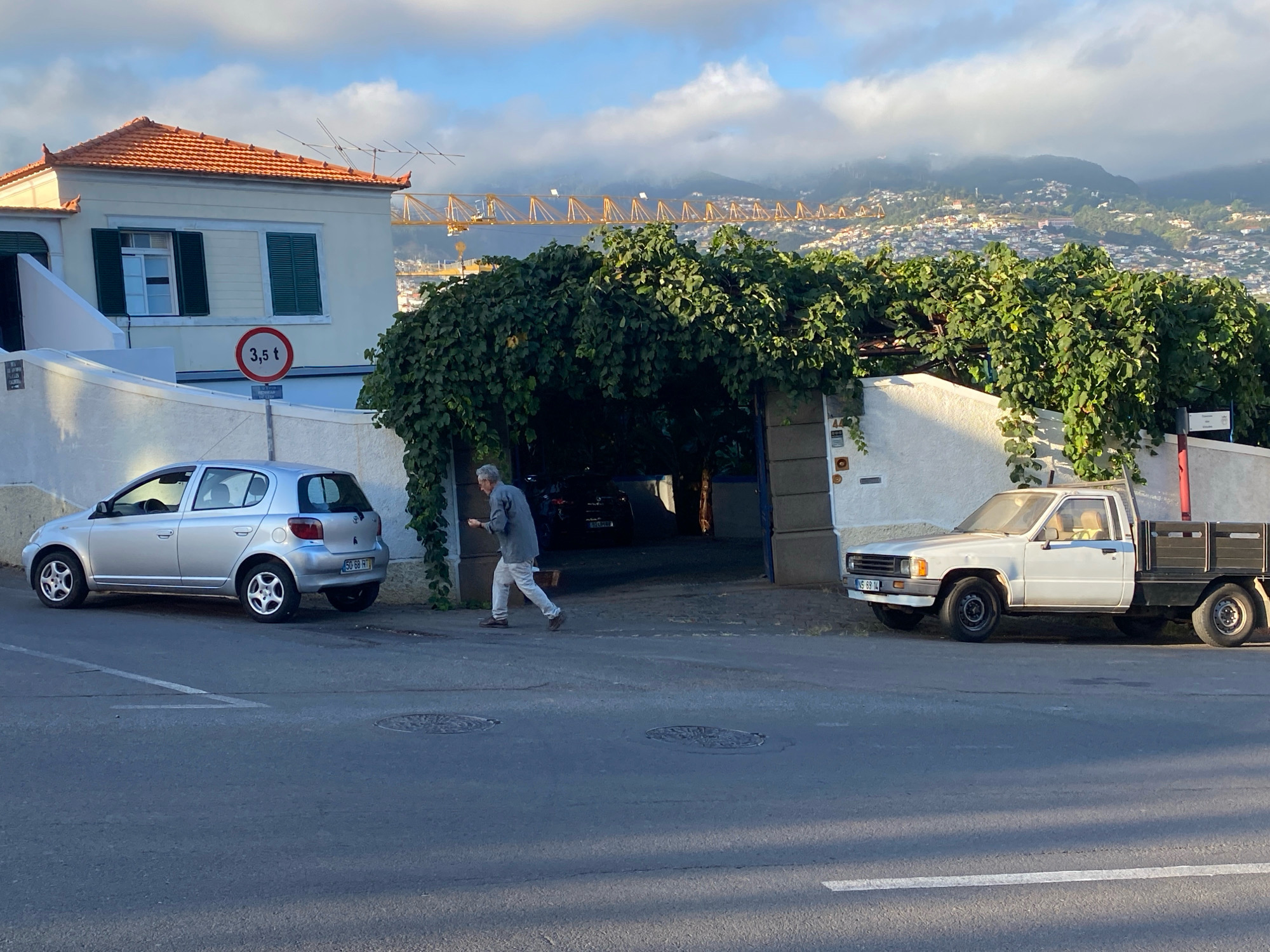 This image depicts a street scene in Funchal, Portugal. In the foreground, a gray asphalt road with white lane markings is visible. Two manhole covers are present on the road. On the left side of the road, a silver hatchback car is parked. Further into the scene, a white pickup truck with a black flatbed is also parked. A man wearing a gray jacket and light-colored pants is walking on the sidewalk, facing left. Behind the man, an arched entranceway is covered by dense green foliage. A light-colored building with an orange tiled roof is situated to the left of the entranceway. In the background, a yellow construction crane is visible, and a hillside covered with houses and vegetation slopes upwards, with a cloudy sky overhead. A sign with "3,5 t" in red letters within a white circle on a red border is posted on a pole near the silver car. The license plate of the silver car is "50 68 RTT". The license plate of the white pickup truck is "NS 69 14".