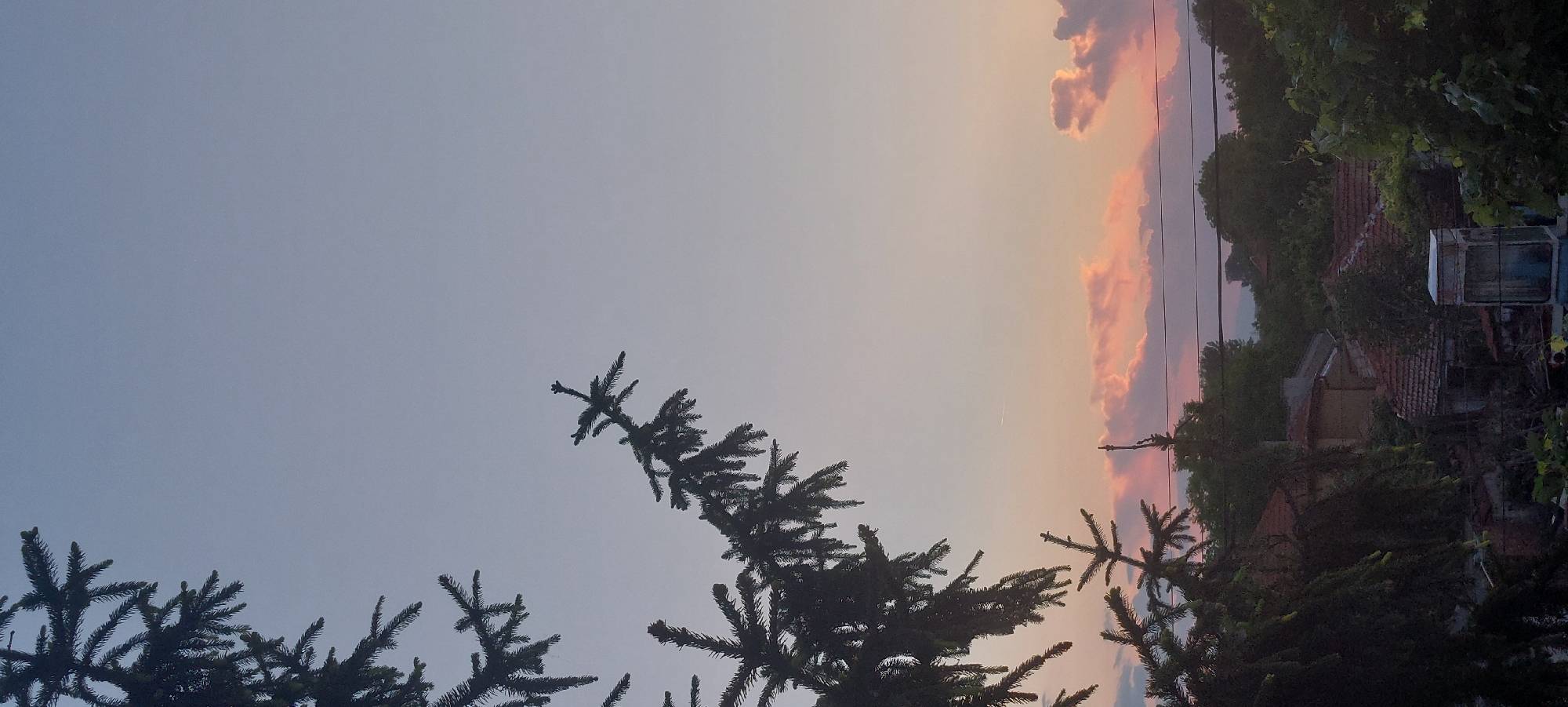 The image presents an outdoor scene in Yagodovo, Bulgaria, taken during twilight or sunset. The sky transitions from a pale blue in the upper-left to a band of orange and pink hues on the right, suggesting a setting sun or approaching twilight. Several thin clouds with pink edges are visible in the right portion of the sky. Silhouetted pine tree branches extend from the lower part of the frame upwards, obscuring a portion of the sky. In the background, there is a view of houses with tiled roofs, interspersed with trees and foliage. Power lines stretch across the sky, adding to the residential setting. The overall ambiance is tranquil and suggests a residential area at dusk.