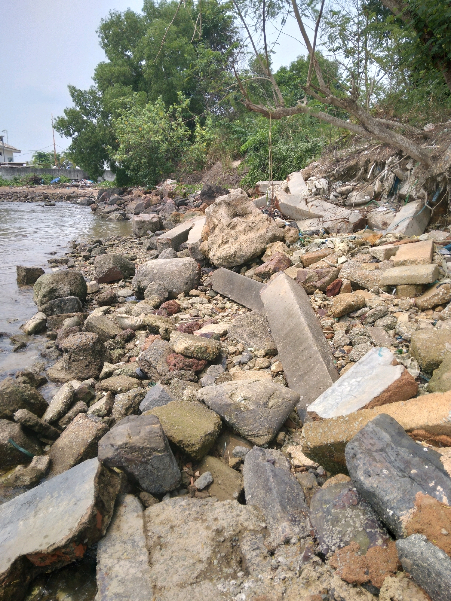 This image depicts a rocky shoreline with scattered debris, likely on an industrial or urban fringe area of Batam, Indonesia. The foreground is dominated by a jumble of rocks, concrete fragments, and other assorted refuse, suggesting a lack of regular maintenance or an area affected by erosion or dumping. The water's edge is visible on the left, with calm, murky water lapping against the stones.
Further back, the shoreline continues with more rocks and vegetation. In the distance, a building with a white facade and a pitched roof can be seen, along with some trees and other structures. The sky is overcast, indicating a cloudy or potentially rainy day. The overall impression is one of neglect and environmental degradation, a common sight in developing urban areas. The presence of concrete debris and the proximity to what appears to be a body of water suggest the location might be near a port, industrial zone, or a less developed coastal residential area. There are no people or animals visible in the image.