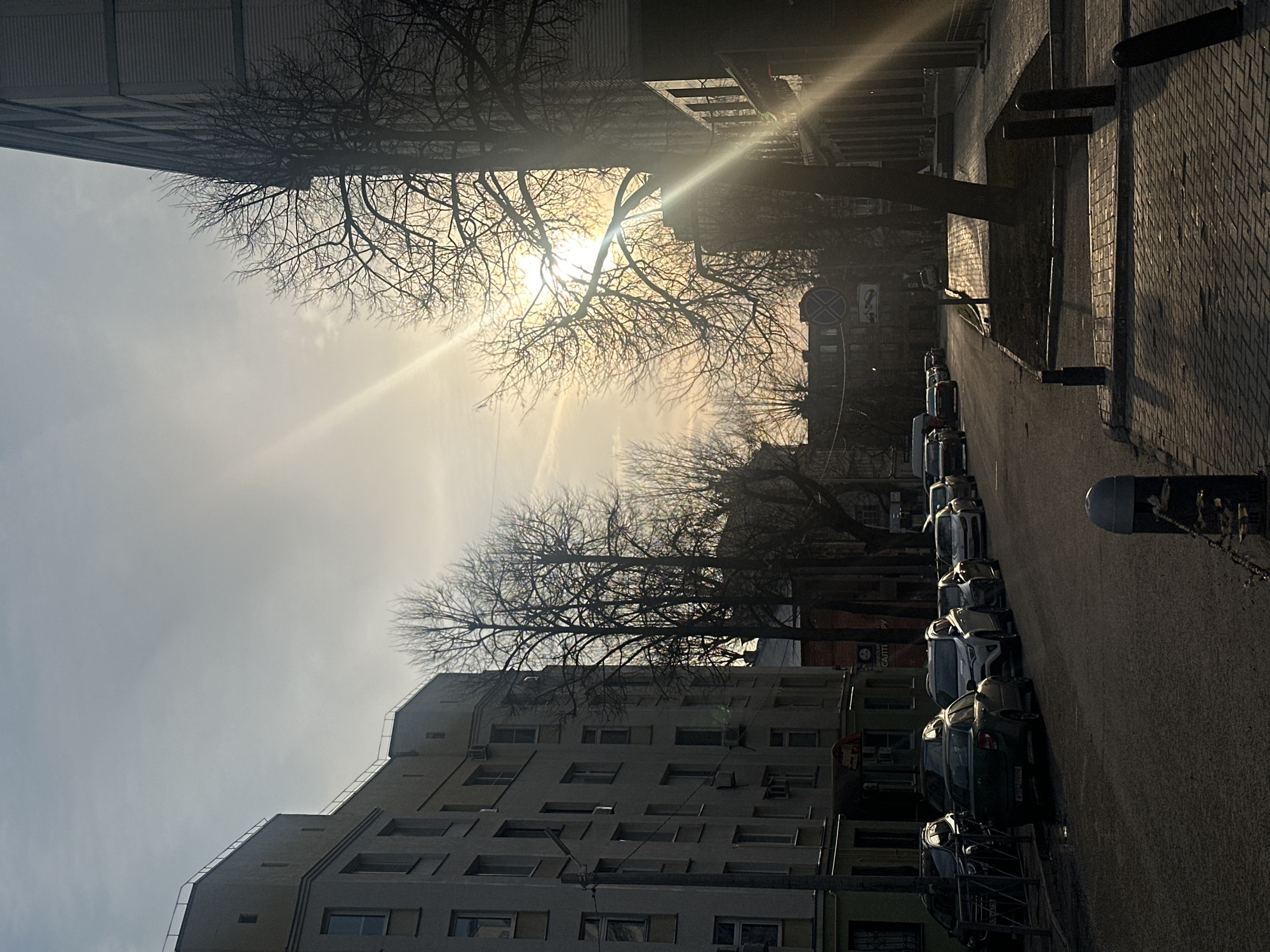 The photograph shows a street in Kazan, Russia, likely taken in the early morning or late afternoon due to the low angle of the sun and strong backlighting. The street is lined with buildings of varying heights and architectural styles, including residential apartment blocks and what appears to be an older, potentially Soviet-era, building with a unique stepped facade. Trees with bare branches line the street, their silhouettes stark against the bright sun. A row of parked cars is visible along the right side of the street. The sidewalk is paved with bricks and includes several utility poles and trash cans. The overall mood is serene despite the urban environment.