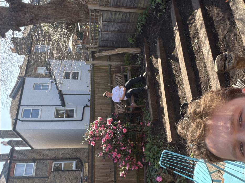 The image depicts a residential garden scene under clear, sunny conditions. In the mid-ground, a young adult female with dark hair, wearing a white t-shirt and dark trousers, is seated on a dark wooden slatted bench. She maintains a neutral expression and looks directly at the camera, with her hands resting in her lap. To the left of the bench, a large bush with numerous pink flowers, consistent with a camellia, is in bloom, with some petals scattered on the ground. A light brown wooden fence runs horizontally behind the bench and bush.
Behind the fence, characteristic residential architecture suggests a location in London, United Kingdom, specifically terraced or semi-detached brick houses with sash windows and pitched roofs featuring chimneys. A prominent white-painted brick house with dark downpipes is visible to the left, flanked by darker brick structures.
To the right of the bench, a weathered wooden post stands vertically near the fence. Further right, a large deciduous tree with bare branches is visible, suggesting late winter or early spring. The foreground consists of four horizontal wooden sleepers arranged as steps or raised beds, filled with dark, tilled soil. Sparse green foliage is visible near the fence on the right. In the lower-left foreground, the upper portion of a second individual's head, with curly brown hair and visible eyes, is partially captured, along with a segment of a light blue slatted metal chair.