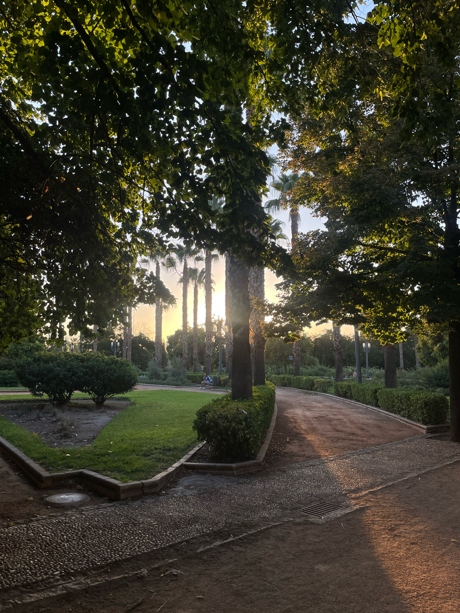 The image depicts a park scene at sunset, likely in the city of Granada, Spain, given the characteristic architecture and vegetation. The foreground features a pathway paved with small, dark pebbles, bordering a well-maintained lawn. To the left, manicured bushes and a curved, paved walkway with a concrete border are visible. Further back, a distinct path, seemingly made of reddish earth, curves through the park, lined with neatly trimmed hedges. Towering palm trees are scattered throughout the scene, some silhouetted against the warm, orange glow of the setting sun, which filters through the lush green canopy of deciduous trees in the foreground and mid-ground. The sunlight casts long shadows across the paths and illuminates the leaves. In the distance, a person is seated on a bench, adding a human element to the serene landscape. Streetlights are also visible amongst the trees, suggesting this is a public park. The overall impression is one of tranquility and natural beauty, enhanced by the soft, golden light of dusk.