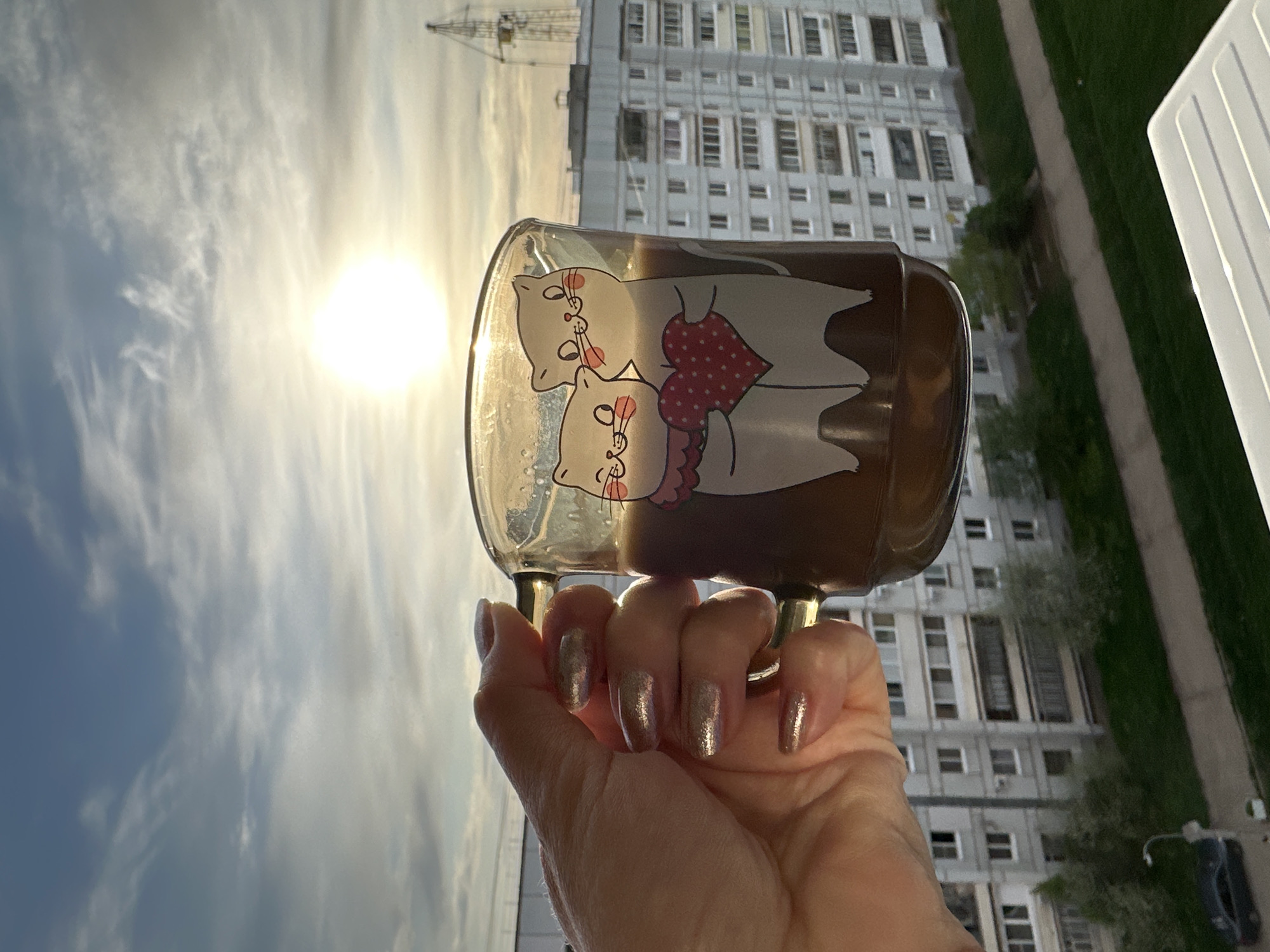 A hand holds a glass mug filled with dark liquid in front of a window. The mug has a cartoon design of two white cats hugging, each with a pink cheek and a pink heart, one plain and one polka-dotted. The hand has light skin and long fingernails with a shimmery gold polish.
Outside the window, the sky is visible with wispy clouds and a bright sun. In the background, there is a tall, grey apartment building with many windows. To the right, there is a green space and a glimpse of a sidewalk with a parked vehicle. A crane stands atop the building.
The location appears to be Chaikovsky, Russia, based on the typical architecture and urban landscape.