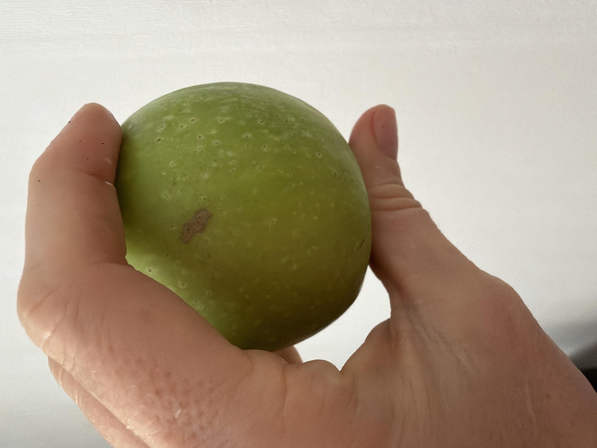 A close-up shot shows a green apple being held in a hand. The apple has some small spots and a brownish mark. The hand appears to be fair-skinned. The background is out of focus but appears to be a light, possibly white, surface. There are no elements suggesting the city of Saint Petersburg, Russia.