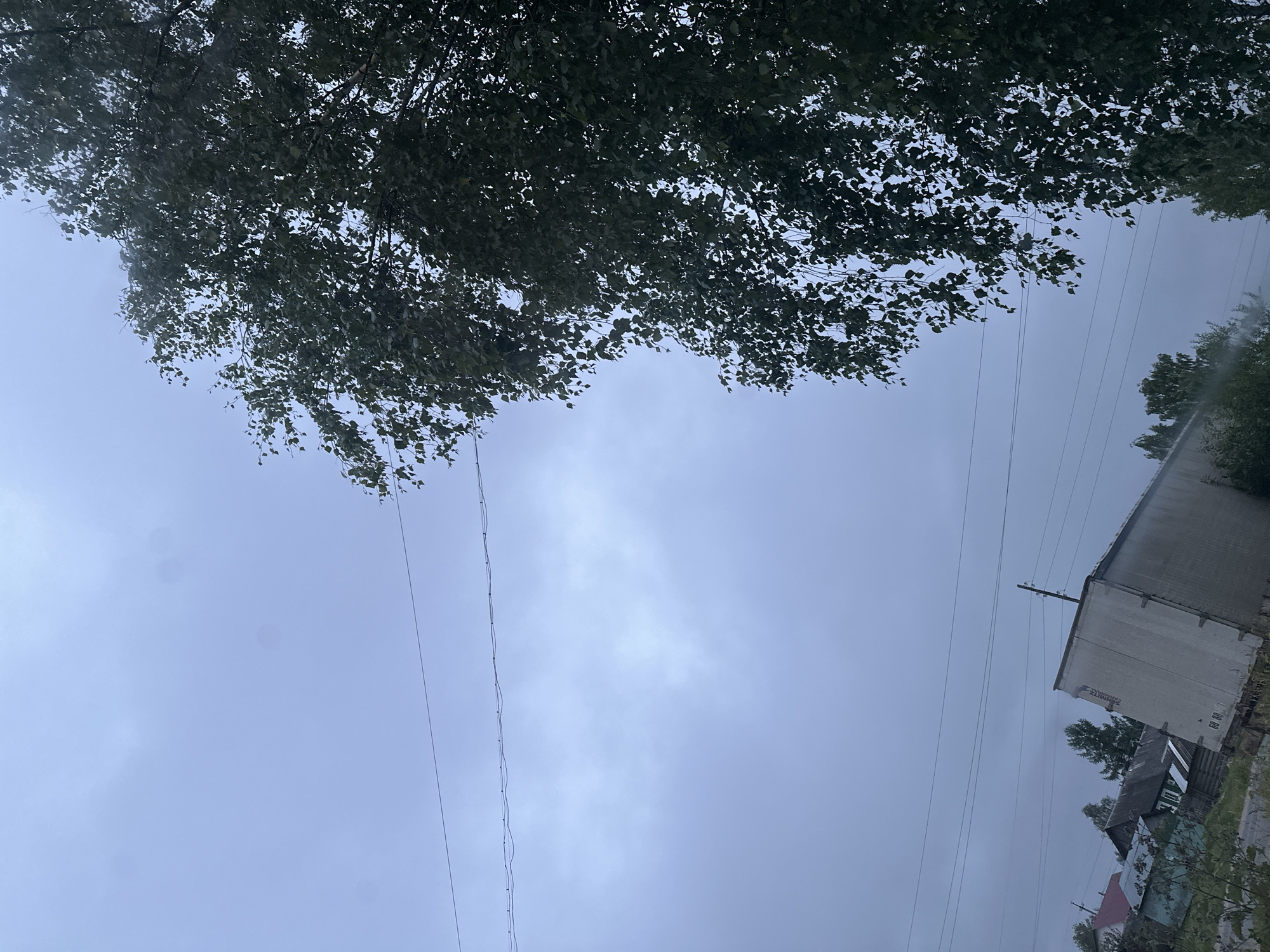 The image depicts an overcast sky over a rural setting in Plesetsk, Russia. In the foreground, a large tree with dark green leaves occupies the right side of the frame, its branches extending towards the sky. Several power lines crisscross the sky horizontally. In the background, a white semi-trailer truck is parked, its side facing the viewer. To the left of the truck, several small houses with pitched roofs are visible, partially obscured by foliage and the truck itself. The environment appears to be a roadside or an open area adjacent to a small settlement. The overall lighting suggests a cloudy or twilight condition.