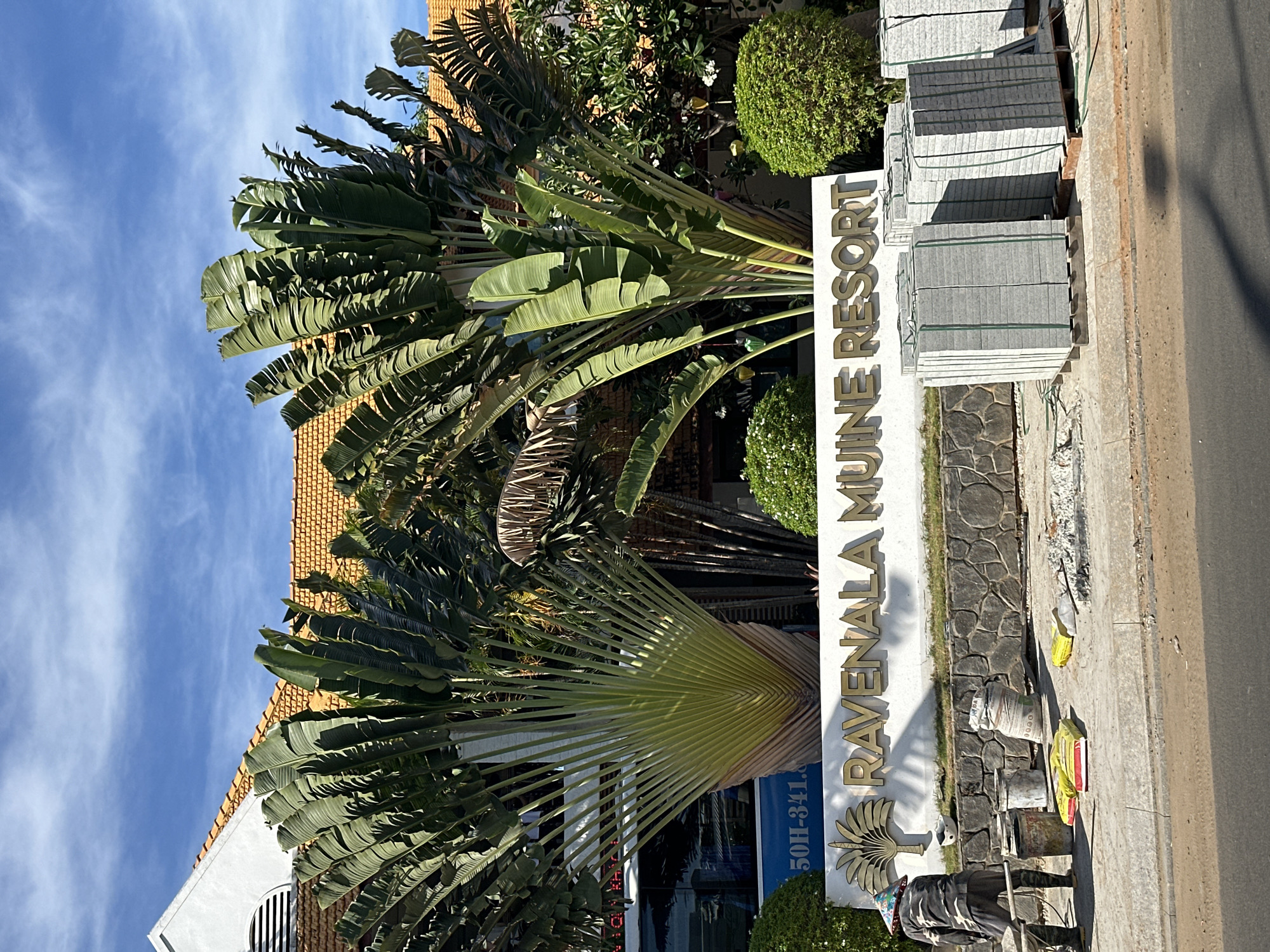 In Phu Thuy Ward, Vietnam, under a bright blue sky with scattered white clouds, stands the "RAVENALA MUINE RESORT" sign. The sign, made of gold lettering and a stylized palm tree emblem, is set against a backdrop of lush greenery, featuring two large traveler's palm trees. Behind the sign, a building with an orange tiled roof and white walls is visible, along with the side of a blue bus. The foreground shows construction work in progress. A person wearing a camouflage jacket, dark pants, and a conical hat is pushing a wheelbarrow. Several buckets, bags of construction material, and stacks of grey paving stones are arranged on the sidewalk and adjacent dirt area, indicating an ongoing project. The overall scene depicts a resort entrance undergoing renovation or landscaping.