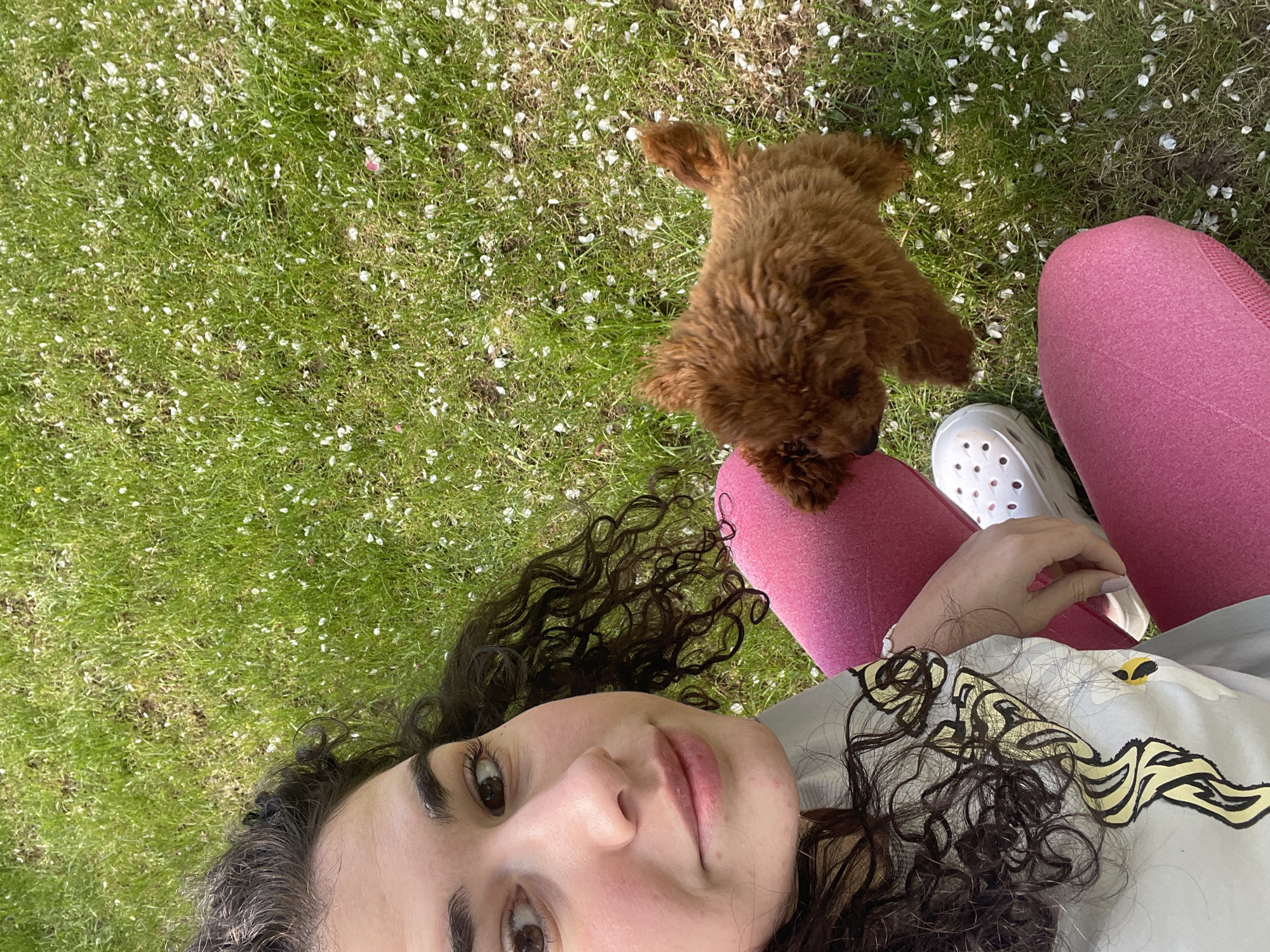 A medium-angle shot shows a young woman lying on grass with a small brown poodle dog. The woman has curly brown hair, and she is wearing pink leggings, a white Croc shoe, and a light-colored top with a dark design. She is looking at the camera. The poodle is standing on her lap and looking down. The grass is green and covered in small white flowers. The photo was most likely taken outdoors on a sunny day. No buildings or landmarks are visible to suggest the city of Sofia.