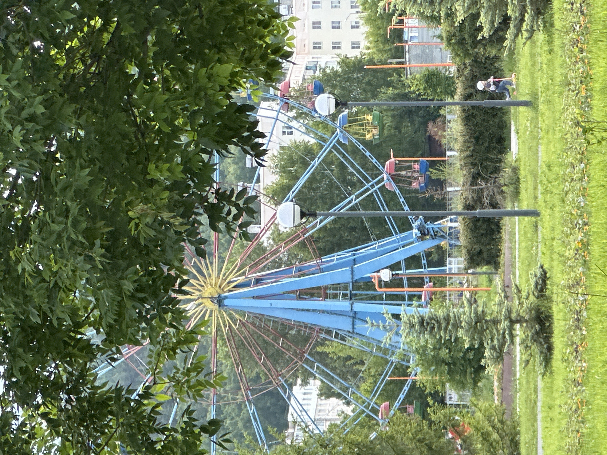 In a park in Unknown, Unknown, a Ferris wheel with blue, red, and yellow accents stands prominently. Several gondolas, some red, some blue and yellow, are attached to the wheel. Trees and foliage surround the park, with a building visible in the background. A small evergreen tree is situated in the foreground. In the middle ground, a child on a scooter is visible, wearing a helmet and a white shirt. Two lampposts stand in the foreground.