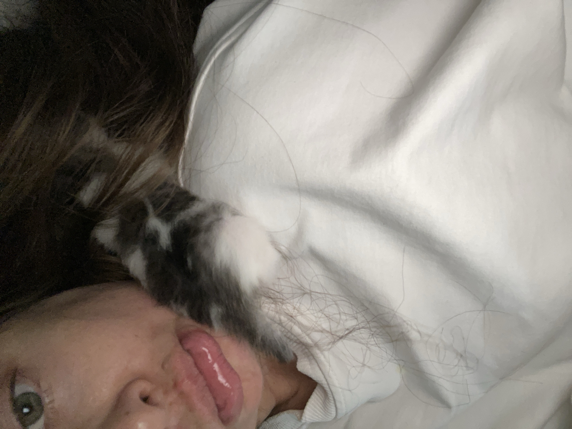 The image is a close-up, low-angle shot of a person lying down, with a kitten interacting with them. The person's face is partially visible, with their eye and mouth being the most prominent features. Their lips are slightly parted, and their tongue is extended, appearing wet and shiny. A kitten's paw, with black and white fur, is touching the person's face near their mouth. The background consists of dark brown hair, likely belonging to the person, and a white, textured surface, possibly clothing or bedding. The lighting suggests an indoor setting, possibly at night or in a dimly lit room. The overall mood appears playful and intimate, given the close proximity of the kitten to the person's face and the person's relaxed pose. There are loose strands of hair scattered across the white surface. No visible text is present in the image. The location context is Заречный, Russia, but there are no specific visual cues in the image to confirm this.