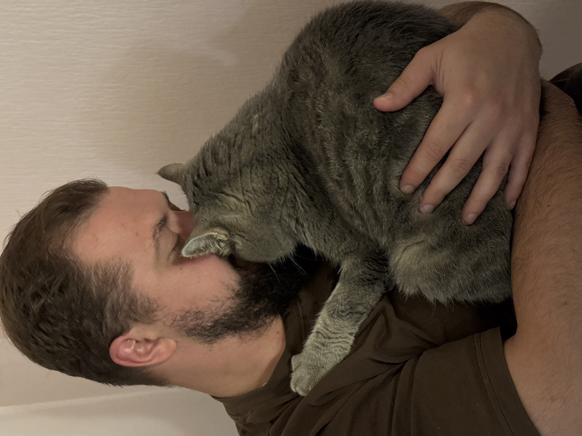 A man with short brown hair and a beard is holding a gray cat, nuzzling into its fur. The man is wearing a brown t-shirt. The cat is resting on the man's chest and shoulder, with its head turned away from the camera. The background is a plain, light-colored wall. This image was not taken in the city of Vladimir, Russia.