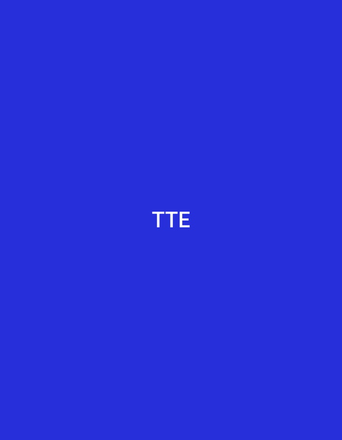 The image features a solid, uniform blue background. Centered prominently within the frame is the white, capitalized text "TTE." There are no other discernible subjects, objects, people, actions, or environmental details present. Based solely on the visual information provided, the image contains no identifiable features or elements that indicate a specific location in the city of Casablanca, Morocco, or any other geographical context.