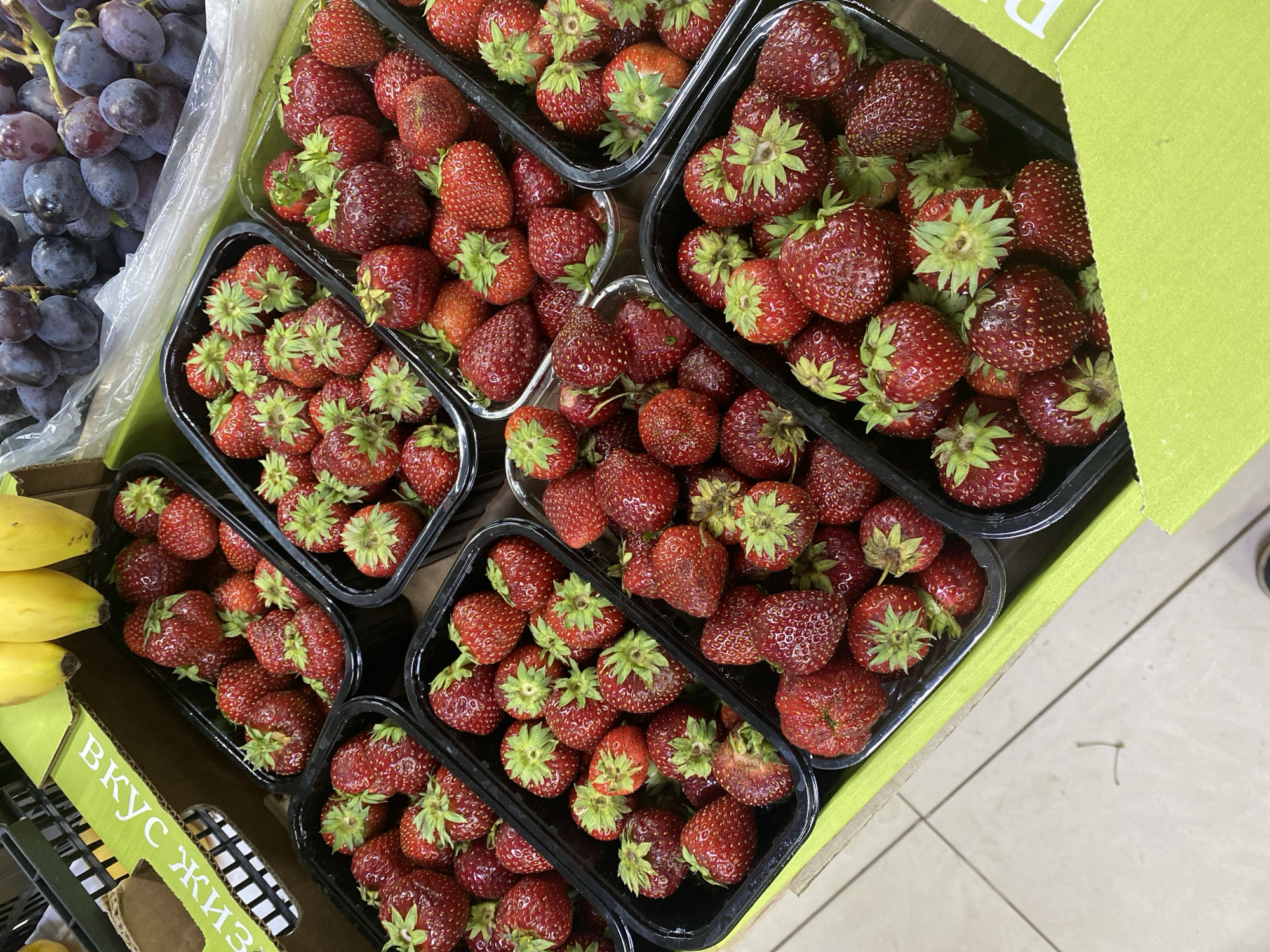 In Moscow, Russia, a close-up, high-angle shot captures a display of fresh produce at what appears to be a market or grocery store. The foreground is dominated by several black plastic containers filled with bright red strawberries, showcasing their textured surfaces and green leafy tops. Some strawberries are whole, while others are cut, revealing their inner flesh. To the left, a cardboard box with green and white lettering, partially obscured, also contains strawberries. In the upper portion of the image, a bunch of yellow bananas hangs above, and behind them, a plastic-wrapped cluster of dark purple grapes is visible. The produce is arranged on a light-colored, tiled surface, suggesting an indoor setting. The lighting is bright and even, highlighting the vibrant colors of the fruits.