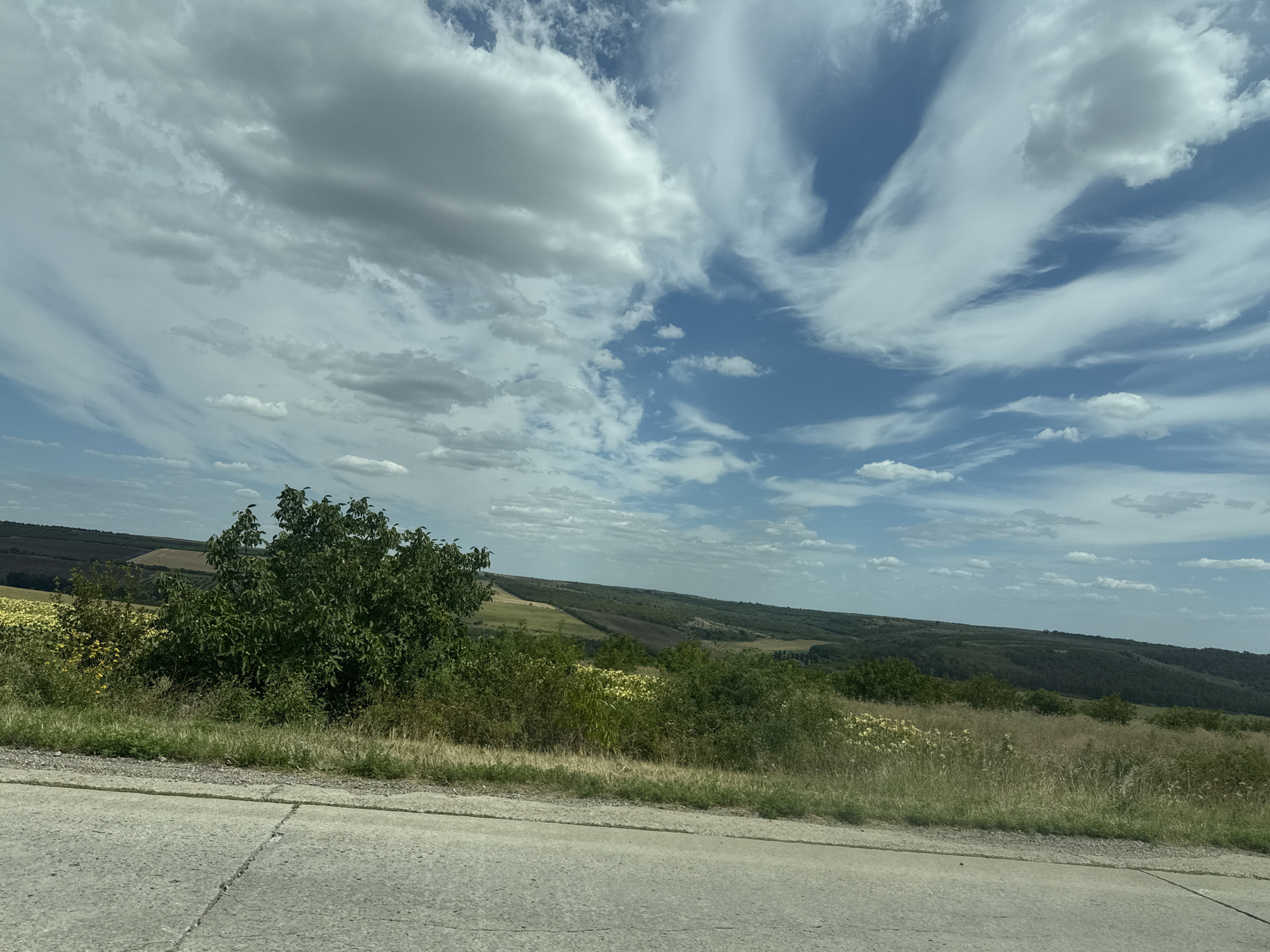 The image depicts a rural landscape near Horesti, Moldova. The foreground features a cracked concrete road surface. Beyond the road, a grassy embankment is visible, leading to a dense cluster of green trees and bushes. In the middle ground, rolling hills are covered with various shades of green vegetation, including fields of yellow flowers and darker forested areas. The background showcases more distant hills under a bright blue sky filled with white, wispy clouds. The scene is illuminated by daylight. No people or specific actions are discernible.