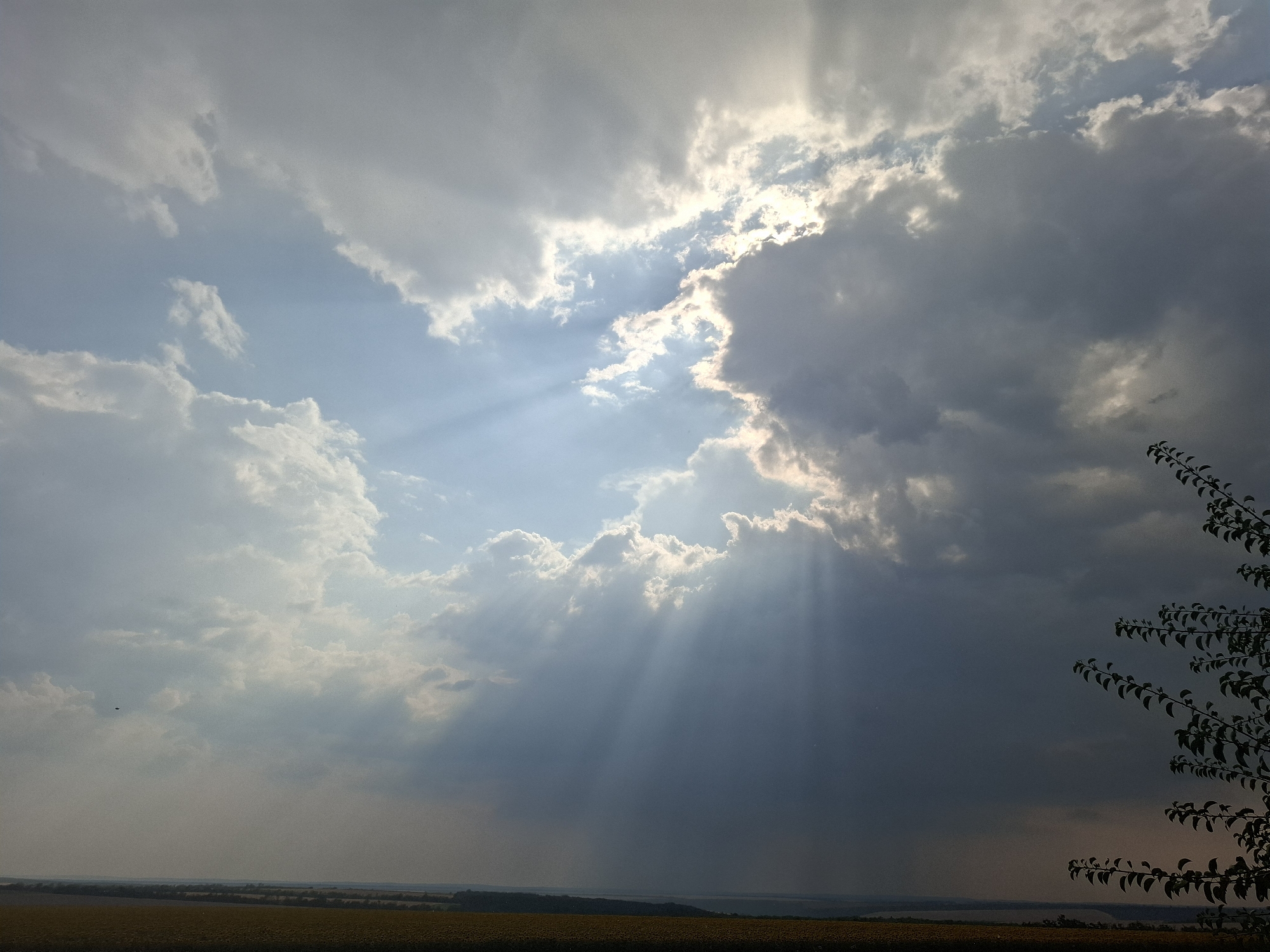 The image captures a dramatic sky over a rural landscape. A dense bank of dark clouds occupies the right side of the frame, contrasting with lighter, more broken clouds on the left through which sunbeams are piercing. The sunbeams create a visible crepuscular effect, illuminating parts of the sky and the atmosphere below. In the foreground, a field of crops, possibly sunflowers given the yellow hue, stretches across the bottom of the image. The horizon is marked by a distant tree line and what appears to be a body of water. A single tree with dark leaves is silhouetted against the sky on the far right. The scene is likely depicting a weather event, possibly a storm passing or approaching, with the sun breaking through the clouds. The location is identified as Topaly, Ukraine.