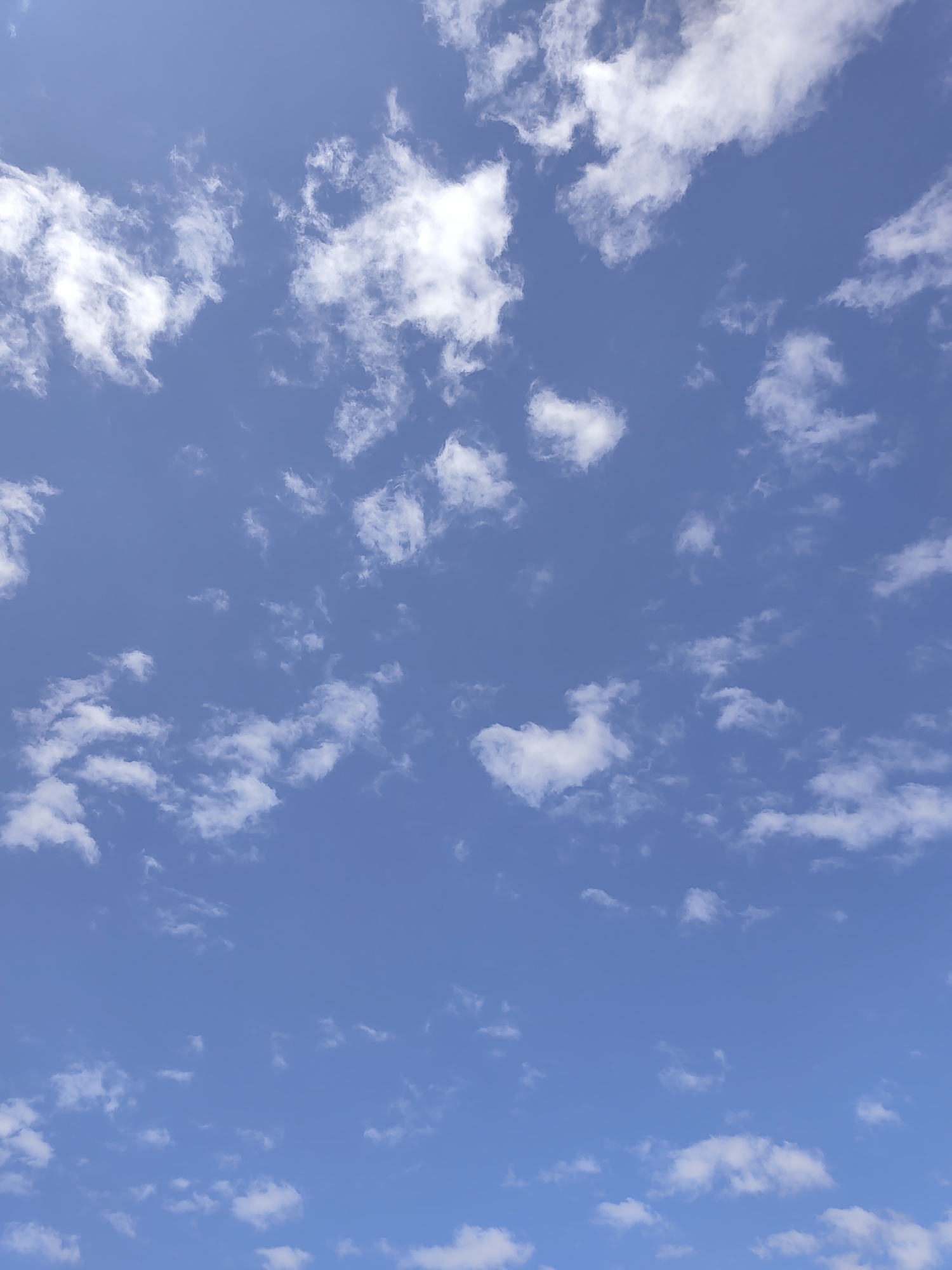 The image is an outdoor, eye-level, vertical photograph of a bright blue sky filled with scattered white cumulus clouds. The clouds vary in size and density, with some appearing wispy and others more substantial. The lighting suggests it is daytime, likely mid-morning or afternoon, with the sun positioned above the frame, illuminating the clouds from above. There are no discernible landmarks or elements of a city in the frame, making it impossible to determine the location in Police, Poland, or any other city. The scene is devoid of any people, subjects, objects, or actions. The environment is solely the sky and clouds.