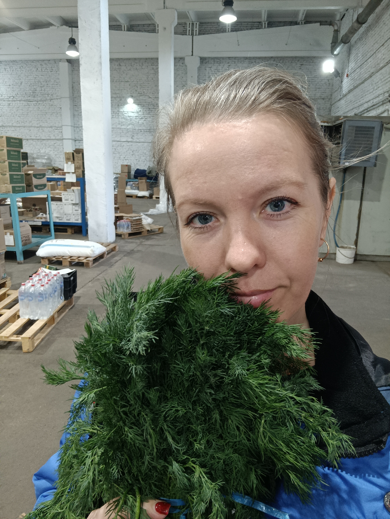 A medium shot depicts a woman holding a substantial bunch of fresh green dill in front of her face, covering her mouth and chin. She has fair skin, striking blue eyes, and light-colored hair pulled back. She wears a blue jacket with a black collar and a gold hoop earring in her right ear. Her right hand, holding the dill, shows red nail polish.
The setting is an indoor industrial or storage facility, characterized by high white-painted brick walls and a concrete floor. The ceiling is also white, featuring visible beams and multiple industrial pendant lights that illuminate the space brightly. The background is filled with various stored goods, including numerous wooden pallets stacked with cardboard boxes, both green and brown. A large white sack, possibly containing flour or sugar, rests on a pallet, as do several crates filled with plastic bottles of water. A blue shelving unit is visible to the left, and further back, cartons of eggs are stacked on another pallet. A metal ventilation unit is mounted on the far right wall, and a white bucket is also present in the background.
The woman looks directly at the camera with a subtle, pleasant expression, posing with the fresh herbs. The environment suggests an active storage or distribution point, likely for food or provisions. No clearly legible text is discernible on the items in the background.
