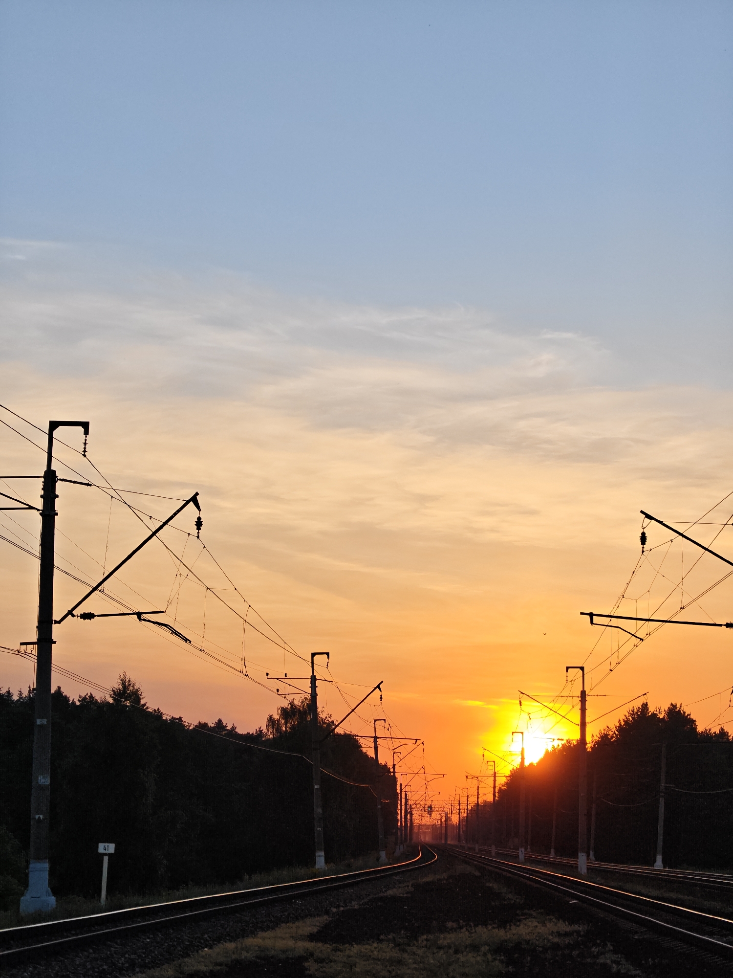 The image depicts a railway landscape at either sunrise or sunset in Kratovo, Russia. The low sun, a vibrant orange-yellow disc, is partially obscured by a dense line of dark, silhouetted trees along the right side of the horizon. The sky exhibits a clear gradient, transitioning from an intense orange at the horizon, through lighter orange and peach tones, to a pale blue at the zenith. Wispy, horizontally stretched clouds are visible in the upper-mid sky, highlighted by the sun's glow.
Multiple parallel railroad tracks, at least four, recede into the distance, appearing to curve gently to the left. The metal rails reflect the warm orange light of the sun, creating bright lines against the shadowed ground. The immediate area alongside the tracks is covered with dark, indistinct vegetation.
Numerous utility poles, supporting an intricate network of overhead electrical catenary wires, are silhouetted against the bright sky. These poles are dark, with visible insulators and cross-supports. In the left foreground, a prominent concrete pole displays a white marker with the number "41." Other faint numerical markings are visible on the pole itself (e.g., "57" and "15"). A continuous line of dark, dense forest forms the backdrop along both sides of the tracks, heavily shadowed by the backlighting. A few small, dark specks, likely birds, are faintly visible against the brighter sky. The scene is devoid of people or trains.