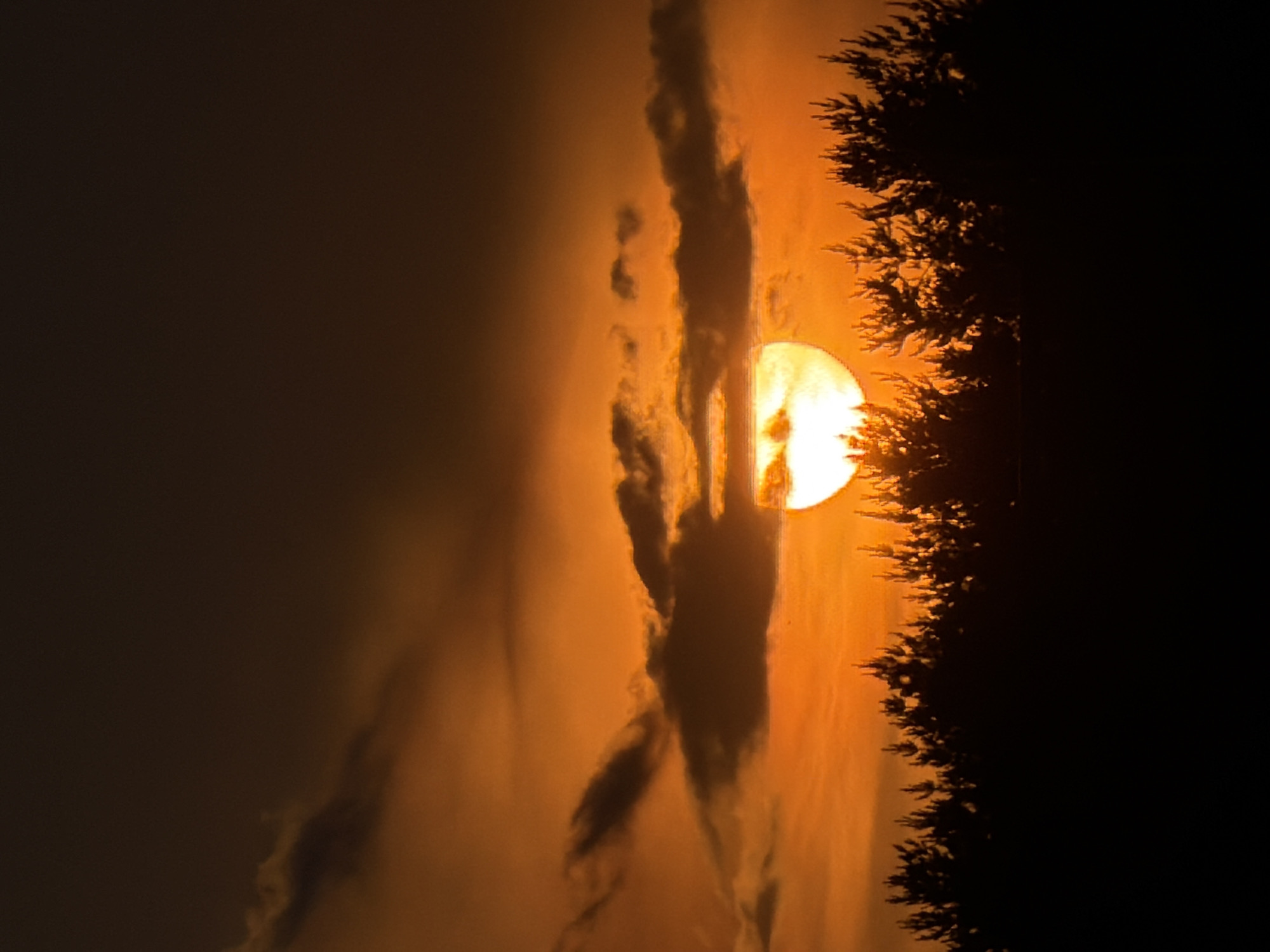 The image shows a sunset over a dense forest in Satino-Russkoe, Russia. The sun, a bright, glowing orb, is partially obscured by clouds, casting an intense orange and yellow light across the sky. The clouds themselves are a mix of dark gray and bright orange, suggesting the varying degrees of sunlight filtering through them. The silhouettes of tall pine trees form a dark, jagged line across the bottom half of the frame, creating a stark contrast with the vibrant sky. The overall mood is dramatic and serene, capturing the fleeting beauty of a sunset. There are no people or animals visible in the image.