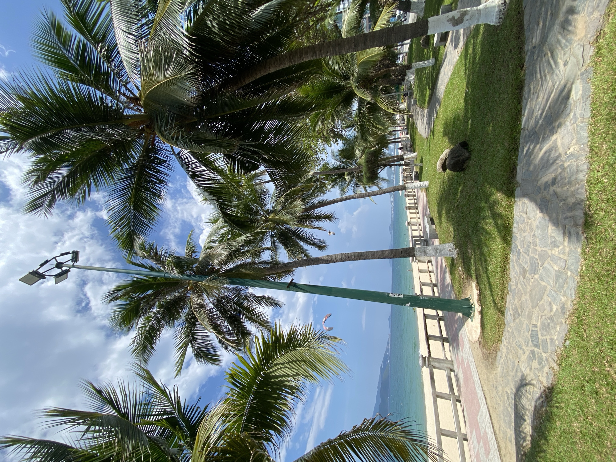 The image depicts a tropical beach promenade in Nha Trang, Vietnam, under a partly cloudy sky. In the foreground, a winding stone pathway is bordered by lush green grass, casting shadows from the surrounding palm trees. The pathway leads towards the beach, which is separated by a railing and a sandy area. Further back, the turquoise ocean meets the horizon, with distant hills visible.
Several palm trees are prominent throughout the scene, with their fronds arching over the pathway and the beach. One tall lamp post with multiple lights stands near the center, illuminating the area. Some palm trees have their lower trunks painted white, a common practice in tropical coastal areas. A kite can be seen in the sky above the beach. The promenade appears to be a public space with benches and a well-maintained walkway. The overall impression is one of a serene and inviting coastal environment.